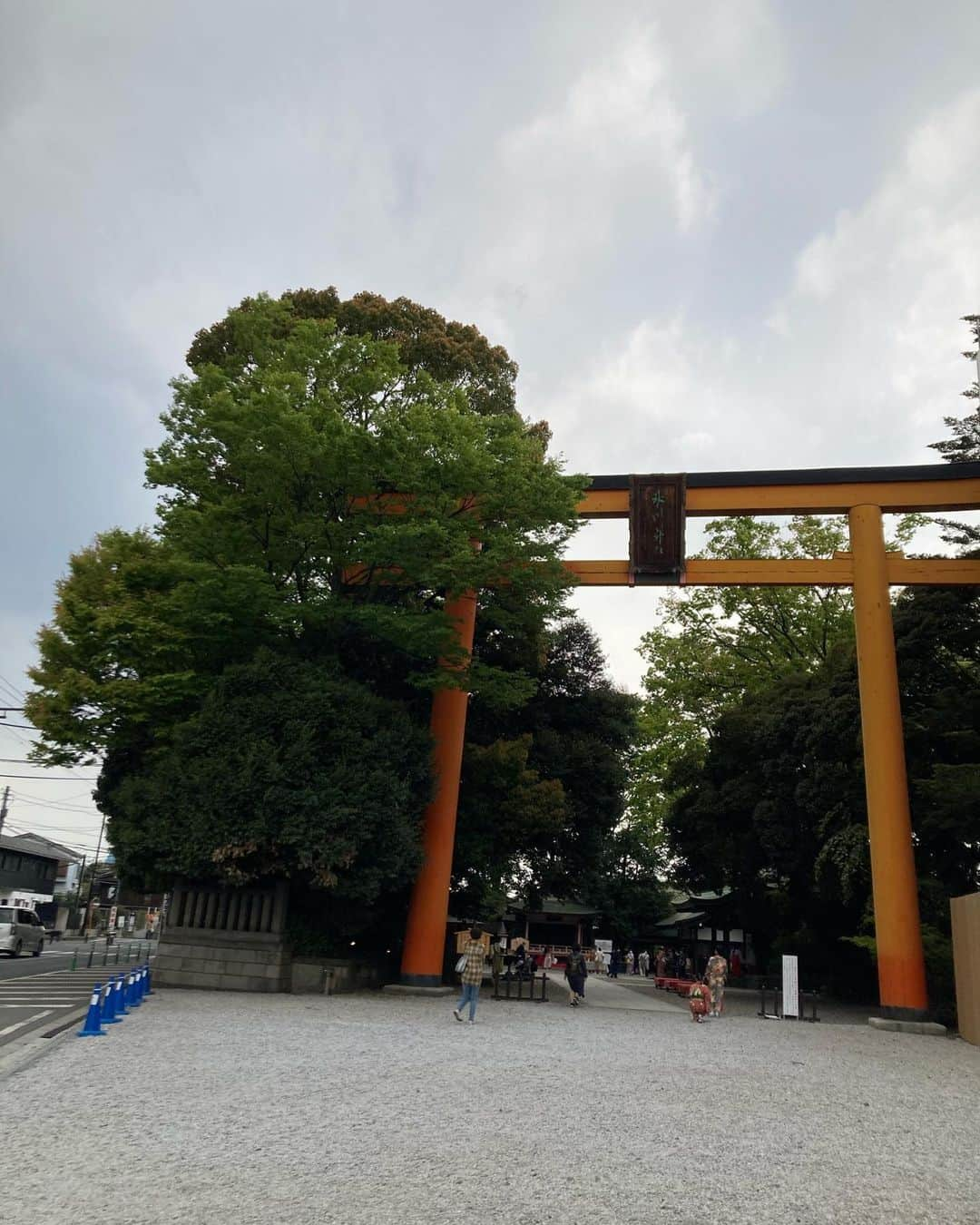 春日萌花さんのインスタグラム写真 - (春日萌花Instagram)「#埼玉 川越 #川越氷川神社⛩  とれとれ ピチピチ 鯛みくじ〜 埼玉で釣ってきました🎣  #新河岸川 #喜多院 など #桜 の名所🌸があり これからのシーズンますます盛り上がりそうな #川越  この日は川越氷川神社へ  私が釣ったのは赤の #鯛みくじ 「一年安鯛みくじ」って言うんだって🐟 ピンクは「あい鯛みくじ」 #恋みくじ になっているそうです💓  絵馬のトンネルも有名 多くの方の願いがここに✨  春は近くの川の舟運 夏は #縁結び風鈴 秋は紅葉 冬も限定のお守りがあるとか  一年中行きたくなる神社ですね☺️  ベストショットはプロフィール画面のURL またはこちらからどうぞ✨↓ https://music-book.jp/salon/detail/19  #神社 #参拝 #パワースポット #お参り #旅 #旅行 #観光 #埼玉観光 #saitama #radio #prowrestler #prowrestling #weatherforecast  #japan #sightseeing #travel  #MoekaHaruhi #プロレス #ラジオ #春日萌花 #ファンラジ795」3月15日 20時28分 - moekaharuhi