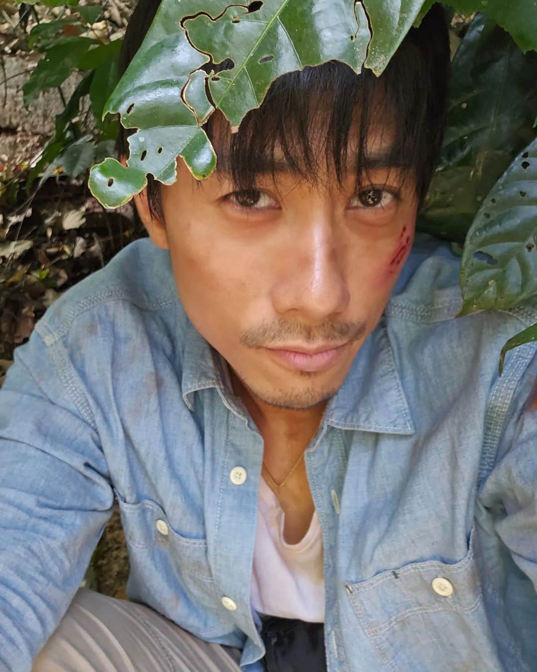 デスモンド・タンのインスタグラム：「Deep in the wild, the elements can be harsh! 🌳 Gentle reminder: Remember your sunscreen and moisturiser. Shower well. 😏  Guess what am I doing in the forest. Wrong comments only.  P.S. No human beings were harmed in the making of this. 😏   #金色大道 #林木森 #六木 #mediacorp」