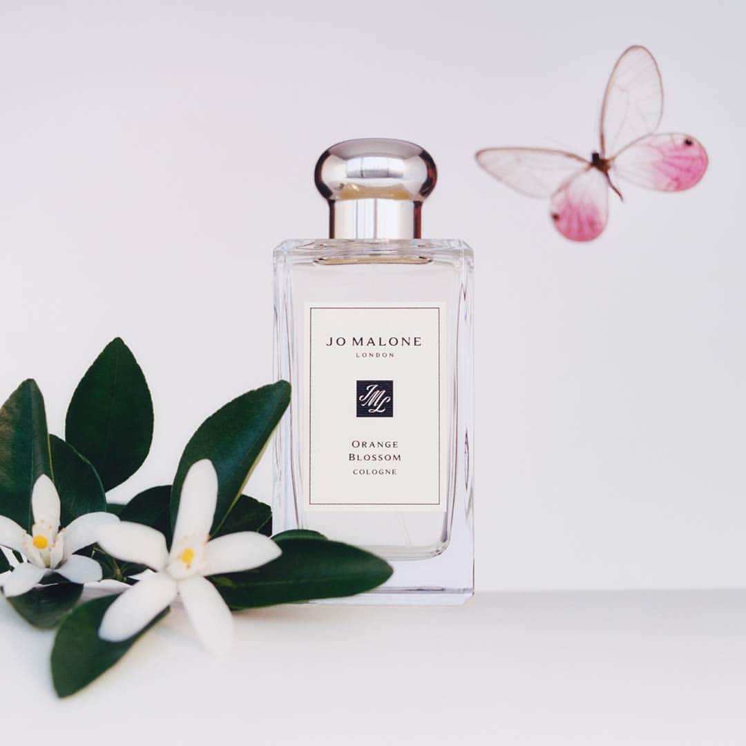 Jo Malone Londonさんのインスタグラム写真 - (Jo Malone LondonInstagram)「Orange Blossom shimmers with notes of clementine flower, orange blossom, water lily and orriswood. #DeclareYourScent」4月14日 0時51分 - jomalonelondon