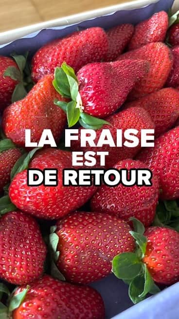 Carrefour Franceのインスタグラム：「C’est le moment de ramener votre fraise ! 😋 Vous préférez laquelle ? 🍓  #carrefour #fraises #recette」