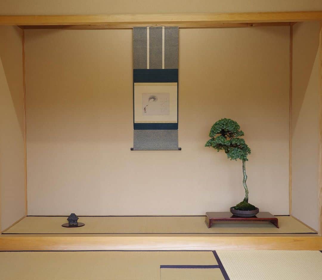 晴日のインスタグラム：「静かな人。」