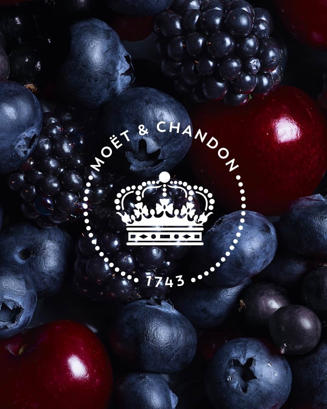 Moët & Chandon Officialのインスタグラム：「The powerful bouquet of Grand Vintage Rosé 2015 evokes red or black fruit and warm notes of garrigue faceted with shades of purple. Translating into color the Champagnes’s aromas, the principle of chromaticity amplifies the tasting experience by involving more of the senses.⁣ ⁣ #GrandVintage #MoetChandon ⁣ ⁣ This material is not intended to be viewed by persons⁣ under the legal alcohol drinking age or in countries⁣ with restrictions on advertising on alcoholic beverages.⁣ ENJOY MOËT RESPONSIBLY.」