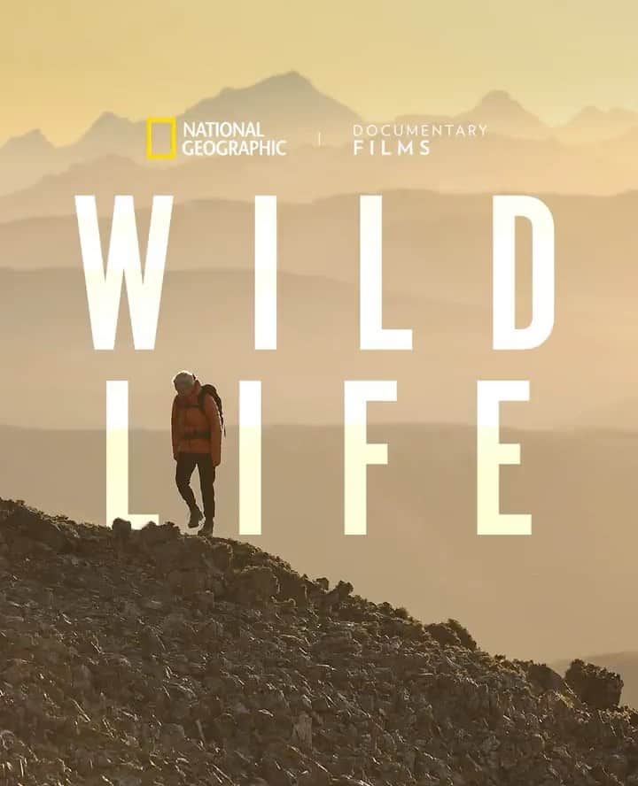 Stanceのインスタグラム：「#WildLifeFilm opens in New York and DC next Friday. ⁠ ⁠ Don't miss special Q&A screenings with directors/producers @ChaiVasarhelyi, our #punksandpoets @JimmyChin, and conservationist @Kristine_Tompkins in attendance.⁠ ⁠ Get your tickets in our link in bio. 🎟️🔗」