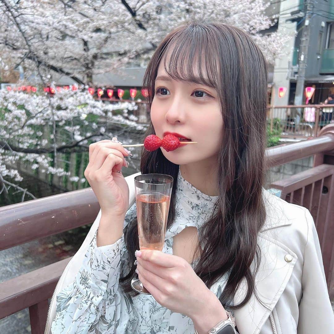 のインスタグラム：「今年桜散るの早すぎた、、🥲🌸   #目黒川  #お花見  #桜スポット」