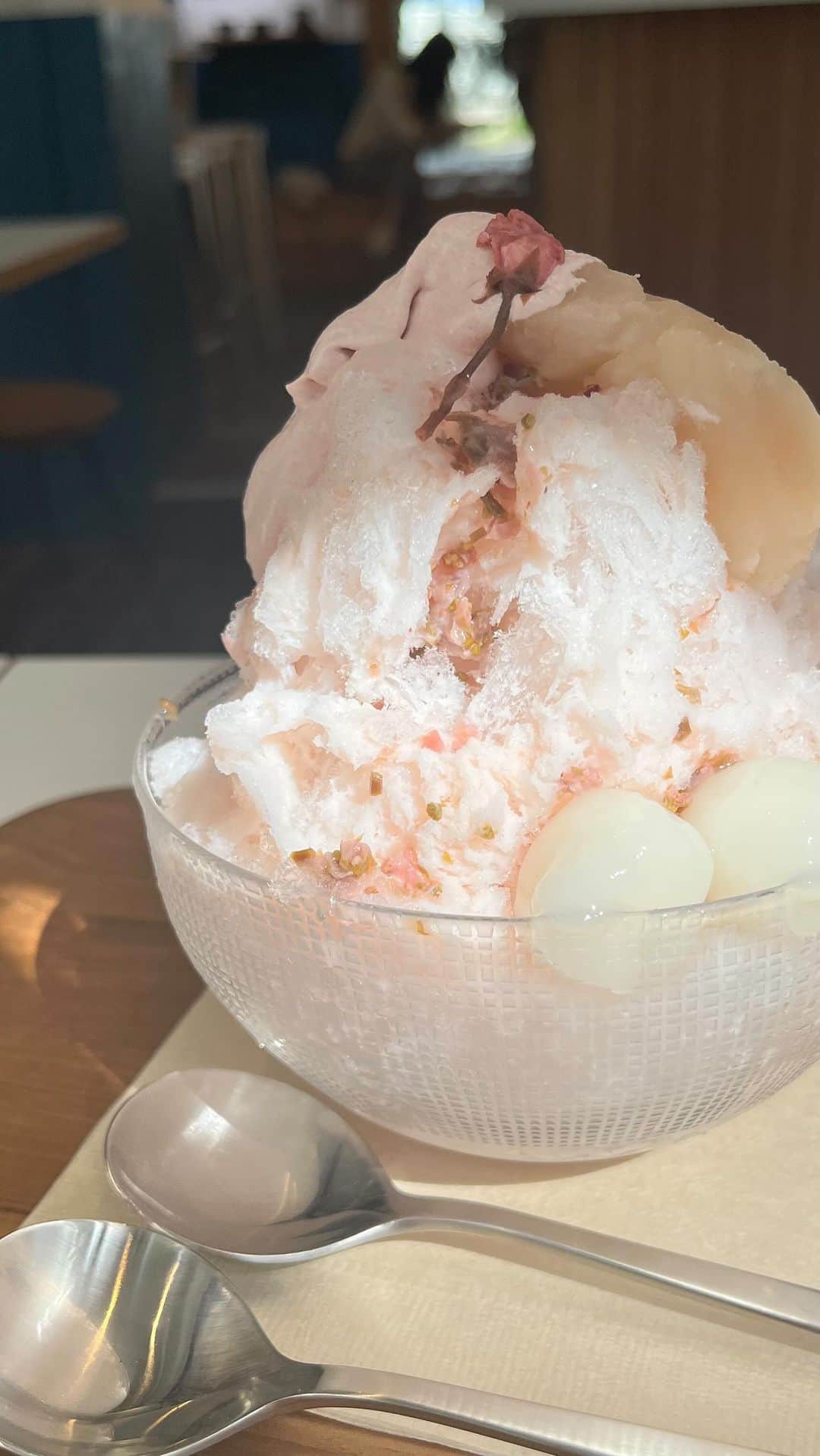 ひよんのインスタグラム：「🍧🎐  @yui_kanno ちゃんプロデュースのカキ氷食べてきた😍❤️ @norikofukuda212 ちゃんといっしょに☺️✨  今年初のカキ氷！！ さくらみるく氷とさくら抹茶氷🌸🍵 どっちもおいしかったけど、 さくらみるくの桜の塩漬けが甘じょっぱくて たまらなかった💖  美味しすぎたからまた行く❤️  @natsumezakacoffee   #カキ氷」