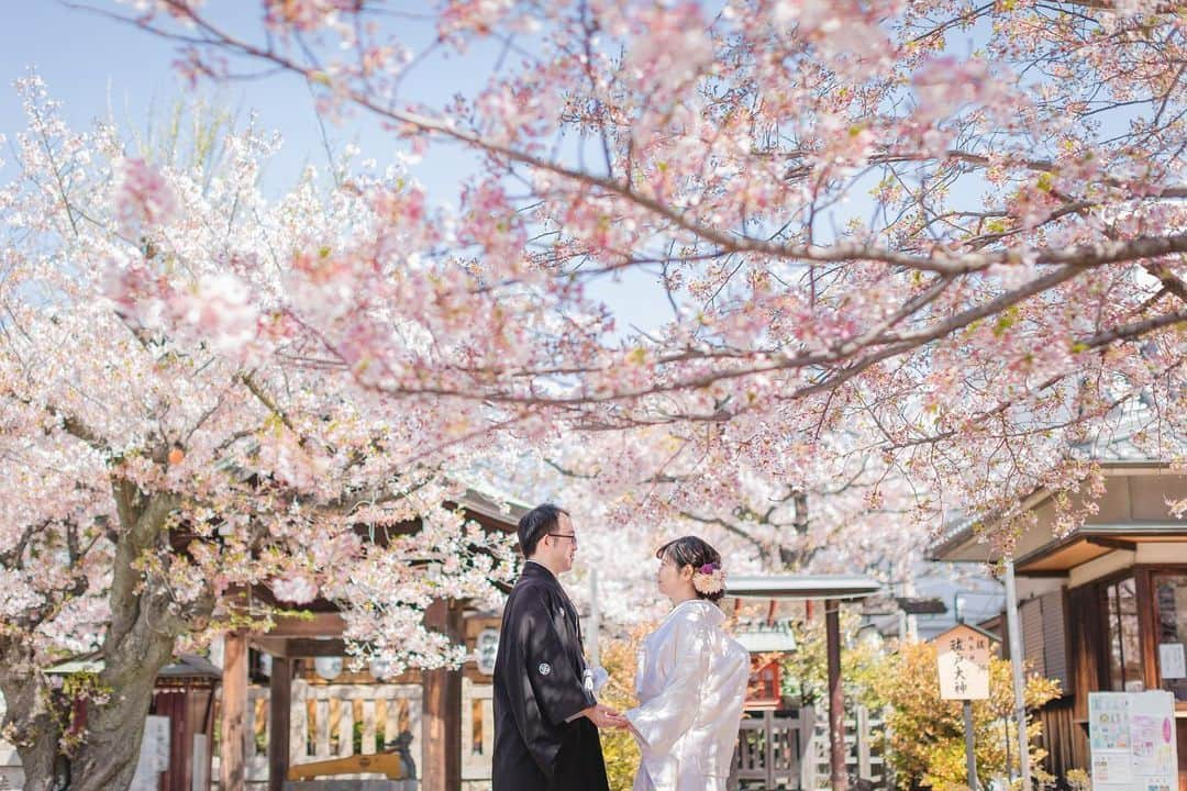 京都神社婚さんのインスタグラム写真 - (京都神社婚Instagram)「. 【ご利用の流れ】  step1  挙式神社･会食会場の決定  ……当店では直接神社様とのやり取りを行っておりません。 そのため、神社様の空き状況や詳細は分かりかねますので直接ご希望の神社様へお問い合わせくださいませ！  神社選びに迷っている！などでしたら ご提案･ご相談承りますのでお気軽にご連絡くださいませ 🪇  step2 当店へのお申込  ……挙式神社･日程が決まりましたら 当店ホームページよりお申し込み下さい！ 前金5万円をお振込後、正式にご成約となります◎  step3 お衣装選び  ……当店では基本的なやり取りはメールで行っておりますが、ご来店が可能な場合 挙式日までに1度店舗へお越し頂き お衣装合わせを行なっております🧺 オプション〈ヘアメイクリハーサル〉をして頂くことも可能でございますので ご検討の際はご一報くださいませ！  step4 挙式当日  ……サロンへご来店頂き、お支度を行います◎お支度完了後、神社様へご移動いたします！ ご家族様やご親戚の皆様と大切な一日をお過ごしください✨ お二人のために心を込めてサポート致します！  #神社婚 #神社挙式 #和装前撮り #神前式 #結婚式 #結婚式準備 #結婚情報 #和婚 #和装花嫁 #白無垢 #色打掛 #プレ花嫁 #プレ花嫁さんと繋がりたい #衣装レンタル #花嫁ヘア #ブライダルフォト #綿帽子 #京都神社婚 #奈良神社婚 #大阪神社婚 #横浜神社婚 #神戸神社婚 #岡山神社婚 #姫路神社婚 #東京神社婚 #和婚をもっと盛り上げたい  #ロケーションフォト #和婚プロデュース」4月13日 17時12分 - st.jinjakon