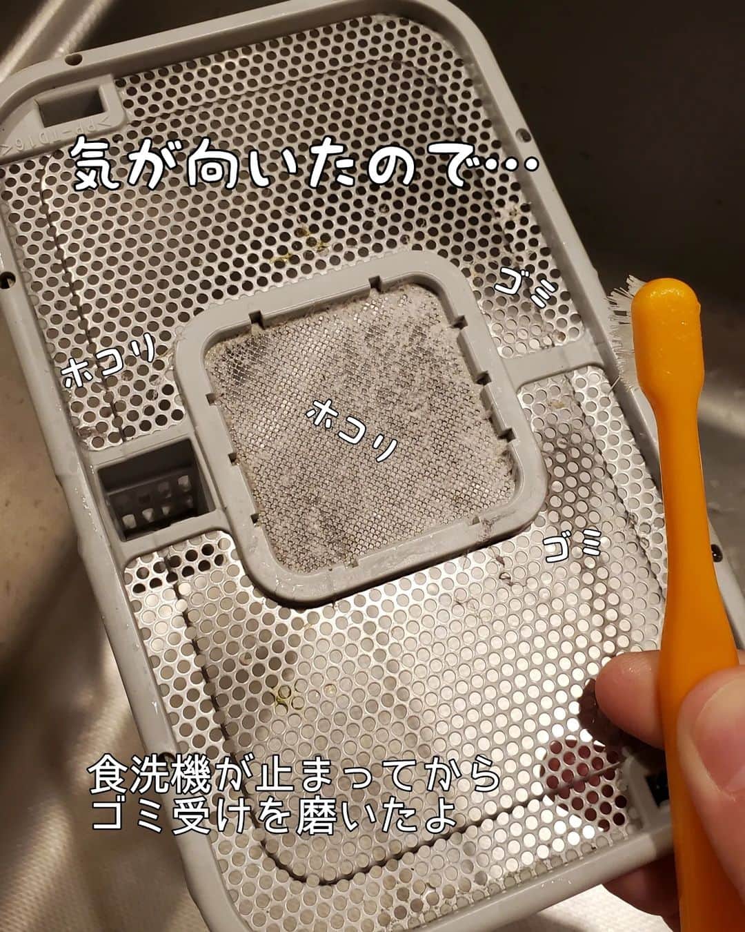 koyukkuma 一条工務店さんのインスタグラム写真 - (koyukkuma 一条工務店Instagram)「・ 🧸🧸月末恒例の食洗機洗浄🧸🧸  月末恒例とか言いながらもう13日。 信じられへんわー  1月2月3月の秒で去る日々からの4月。 何やかんやでバタバタやけど、どゆこと？😇  末っ子幼稚園もやっと今日から給食が始まって 通常運転に戻りました✨  落ち着いたわ～と思った頃に ゴールデンウィークが始まるんやろな……… 何がゴールデン？😇😇  我が家はカビゴンが飲食店勤務なので 毎年ゴールデンウィークは関係なし😇😇😇 子どもたちが家におる、 ケンカを聞くだけのただのしんどいウィークです 笑  で、本題。遅っ。  食洗機洗浄はいつものクエン酸で✨ 今回は気が向いたのでゴミ受けもピッカピカにしました！  ゴミ受けのゴミは毎日取ってから食洗機回すけど、 やっぱり少しずつホコリやら詰まってくるんよね～  歯ブラシでちょちょっと磨けばキレイになります！  ピカピカなったし、食洗機さん また1ヶ月よろしくね～  🎉おまけ🎉  ウチのバブーちゃん、今日が6歳の誕生日です🎂  6年前の今頃、出産直後分娩室から帰ってきて 病室でLIVEしたのを覚えてる方いらっしゃいますか？笑  何やったんやろね、あのテンション 笑 元気すぎっ、昔の自分若いわーーっ！  写真見返しても1歳から顔がほぼ変わってない末っ子👶 いや、背はぐんぐん伸びてクラスでも後ろの方やで？ でもホンマにバブーちゃん👶 動きもバブーちゃん👶  いつまでも頼んなくてバブバブしてるけど さっき誕生日プレゼント選びにおもちゃ屋さん行った時 欲しいおもちゃの値札見て 『よんせん…ななひゃく…ごじゅう…にっ!!(4752円)』 って言うててビビった🤯🤯🤯  四桁の数字読めるんや？ 全然バブーちゃうやん。  何かブツブツ言うてるから部屋のぞいたら 絵本読み上げてたし、ひらがな読めるんや？ 全然バブーちゃうやん。  バブーちゃんやと思い込んでるのは私だけのようで、末っ子はちゃんと成長してました 笑  え～寂しい～思ってたら  『かあちゃーん！これしゃ～(これさ～)ふたちゅ(2つ)あるねんー!!(おもちゃ説明)』  言うてきた。  ………やっぱバブーちゃんやん🥴  #一条工務店 #アイスマート #ismart #マイホーム #食洗機 #食洗機洗浄 #キッチン #クエン酸 #誕生日 #末っ子 #6歳 #幼稚園 #年長」4月13日 17時18分 - kumasan_ismart