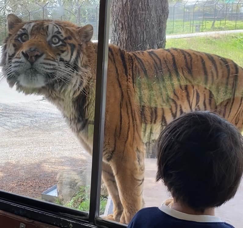 寺川奈津美のグルメインスタ