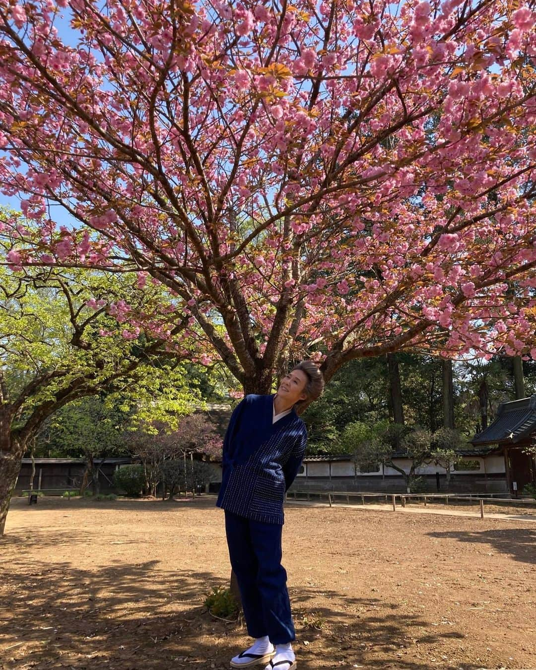 萬田久子さんのインスタグラム写真 - (萬田久子Instagram)「grandma 幸せを感じている🌸  明日❗️4月14日(金) フジテレビ 『ぽかぽか』生放送 11時50分〜13時50分 生出演予定です。 是非ご覧下さいませ♪  #フジテレビ  #ぽかぽか  #生放送  #バラエティ番組  #萬田久子 #HISAKOMANDA」4月13日 18時31分 - hisako.manda_official