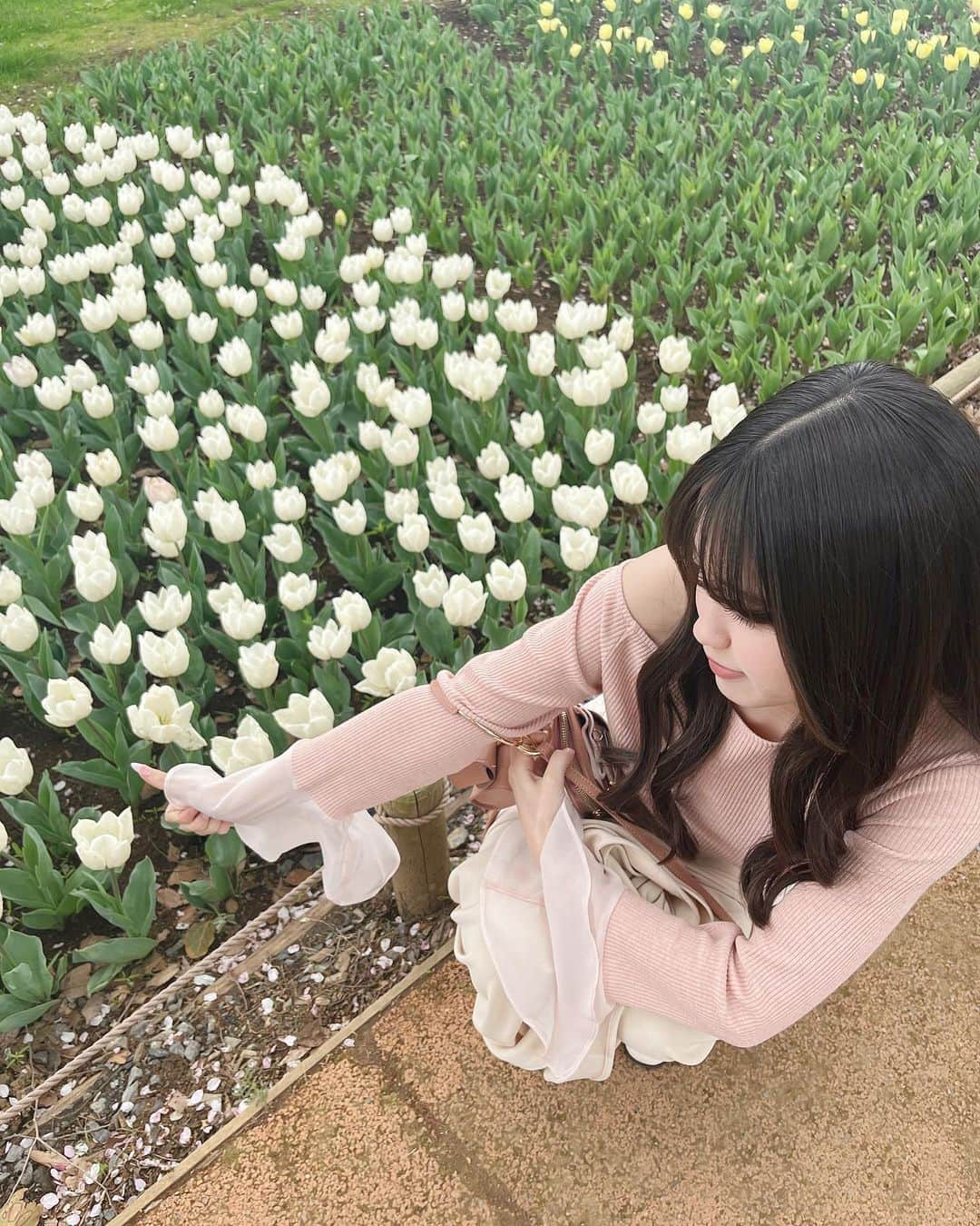 稲川美紅さんのインスタグラム写真 - (稲川美紅Instagram)「🌷 > 👍🏻」4月13日 18時36分 - miku_inagawa