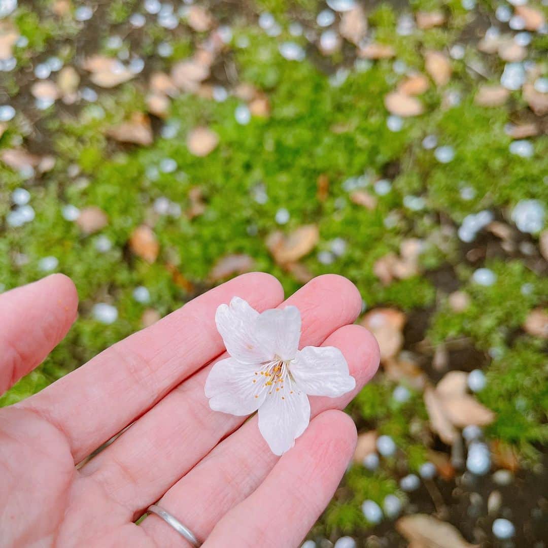 大湯みほのインスタグラム