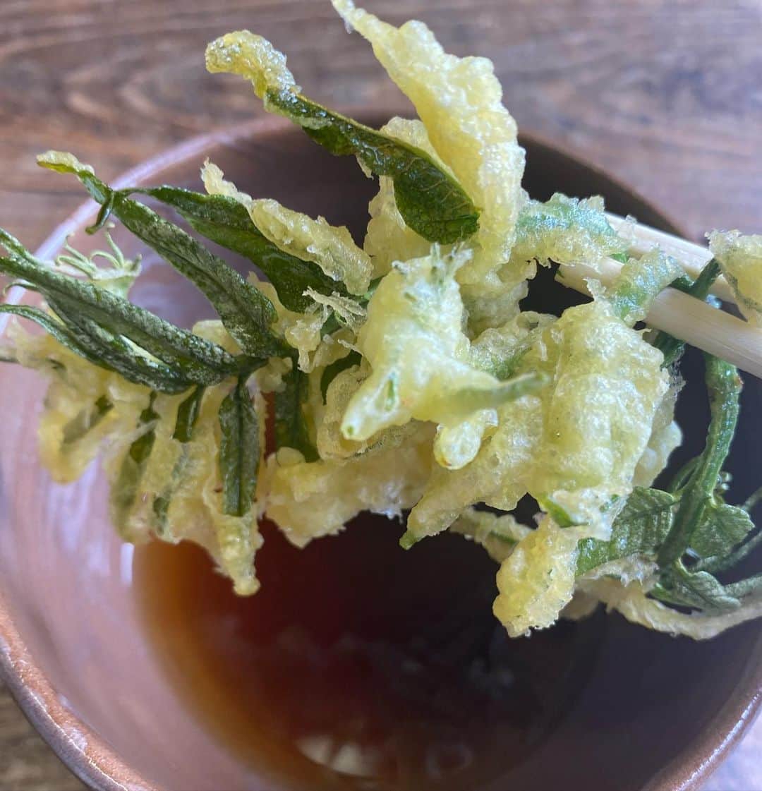 野本かりあさんのインスタグラム写真 - (野本かりあInstagram)「人生の大先輩のお友達のお家で山菜の天麩羅を頂いた。庭で取ってすぐ揚げる、新鮮なままの山菜。 正直、山菜は苦手だったのに、大好きになった。今まで食べていた山菜は一体何だったのか。笑 最後に、女友達が文旦を美しく剥いてくれた。美味しかった。 美味しいものを食べる事は幸せな事だと改めて思った。 本日の山菜→（鷹の爪、あおき、よもぎ、カラス山椒 、山椒、ふき、ハルジオン、ウド） #山菜のてんぷら #山菜嫌いよサヨウナラ」4月13日 19時26分 - karianomoto