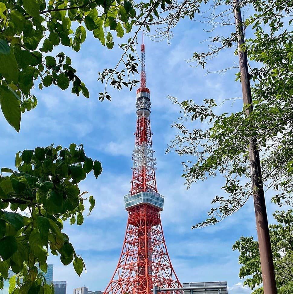 東京プリンスホテルさんのインスタグラム写真 - (東京プリンスホテルInstagram)「ゴールデンウィークは東京プリンスホテルで✨  徒歩圏内に東京タワーや、徳川家ゆかりのスポットがあり、東京を思う存分お楽しみいただけます。  Make the most of Golden Week with Tokyo Prince Hotel ✨  With the mighty Tokyo Tower and various historical spots associated with the renowned Tokugawa daimyo family within walking distance of the hotel, you can get in plenty of Tokyo sightseeing without having to travel too far afield.  Share your own images with us by tagging @tokyoprincehotel  —————————————————————  #東京タワービュー #歴史的建造物 #惣門 #japanphoto #japanesehotel #japanese #japantrip #traveljapan #tokyostay #tokyophoto #tokyoprincehotel #princehotels #tokyo #japan #beautifulhotels #tokyohotel #hotellife #stayathotel #shibakoen #staycation #tokyotower #東京プリンスホテル #プリンスホテル #東京タワー #ステイケーション #ホテルステイ」4月13日 19時29分 - tokyoprincehotel