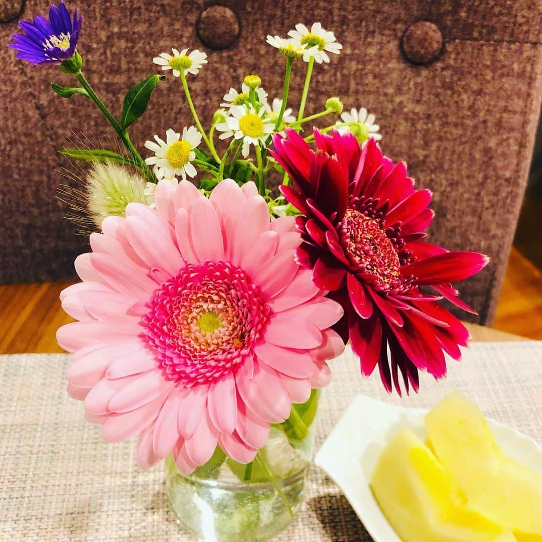 田野辺実鈴のインスタグラム：「ガーベラ一輪おまけしていただいちゃいました🥹💕 この、白と黄色のお花。 マトリ、、、？なんでしたっけ？ いつも名前を覚えられません😂  #お花の名前覚えたいな  #お詳しい方教えてくださいな #今日のおはな #お花のある暮らし #お花のある生活 #ガーベラ可愛い #ガーベラありがとうございました #理鈴」