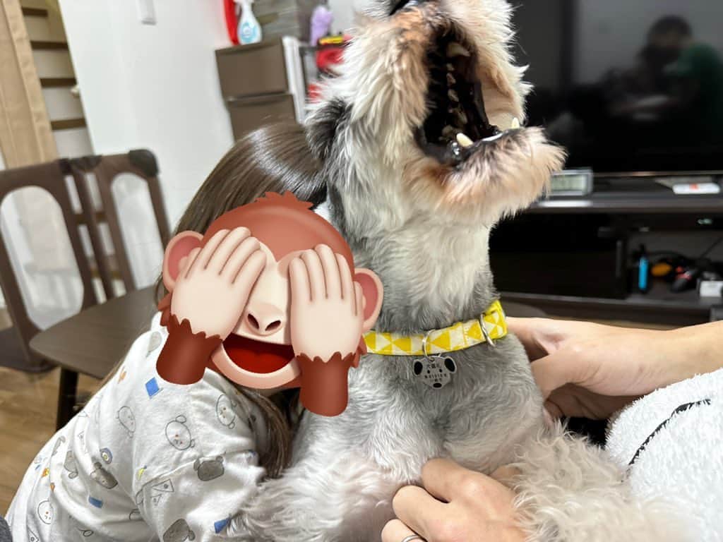 rasuのインスタグラム：「今日の撮影で 今までの人生で一番ここのステーキが好みだ！！好きだ！！！！と思ったステーキ屋さんに出会ってしまいました  はよ動画にしたいぜ！！！！  画像は全然関係のない好きが有り余って息子に抱きつく娘とどうしていいか分からなくて助けを求めてきた息子ですw」