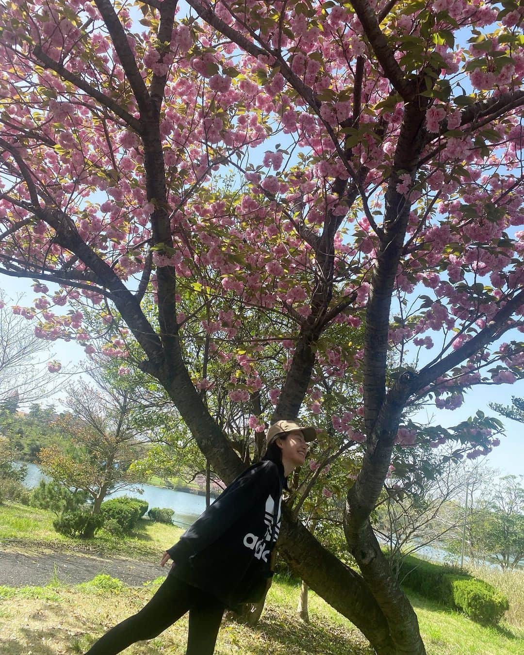 中西悠綺さんのインスタグラム写真 - (中西悠綺Instagram)「🌸🤍  ハナミズキと桜🧚🏻‍♀️ 我很喜歡春天☺️」4月13日 19時50分 - nakanishi_yuuki