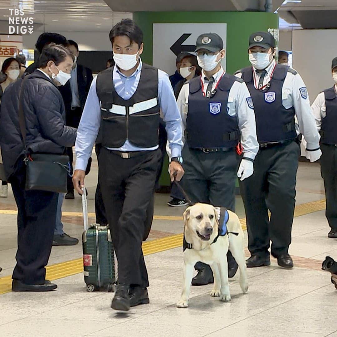 TBS NEWSさんのインスタグラム写真 - (TBS NEWSInstagram)「G7広島サミット中に“危険物探知犬”で警戒　新幹線の主要駅で（2023年4月13日 放送）  来月開催されるG7広島サミットの期間中、新幹線の主要な駅では、危険物探知犬を活用して警備が強化されます。  けさ、JR東日本などがその様子を公開し、小型や大型の危険物探知犬が警備員らとともに改札口周辺を巡回しました。  ･･─･･─･･─･･─･･─･･─･･─･･─･･─･･─･･─･･  詳しくはNEWS DIGの記事で！👀 https://newsdig.tbs.co.jp/articles/-/431818  👉検索ワードは「DIG 探知犬」  ･･─･･─･･─･･─･･─･･─･･─･･─･･─･･─･･─･･  #newsdig #news #tbs #ニュース  #警察  #警察犬  #g7 #サミット」4月13日 21時00分 - tbsnews_insta