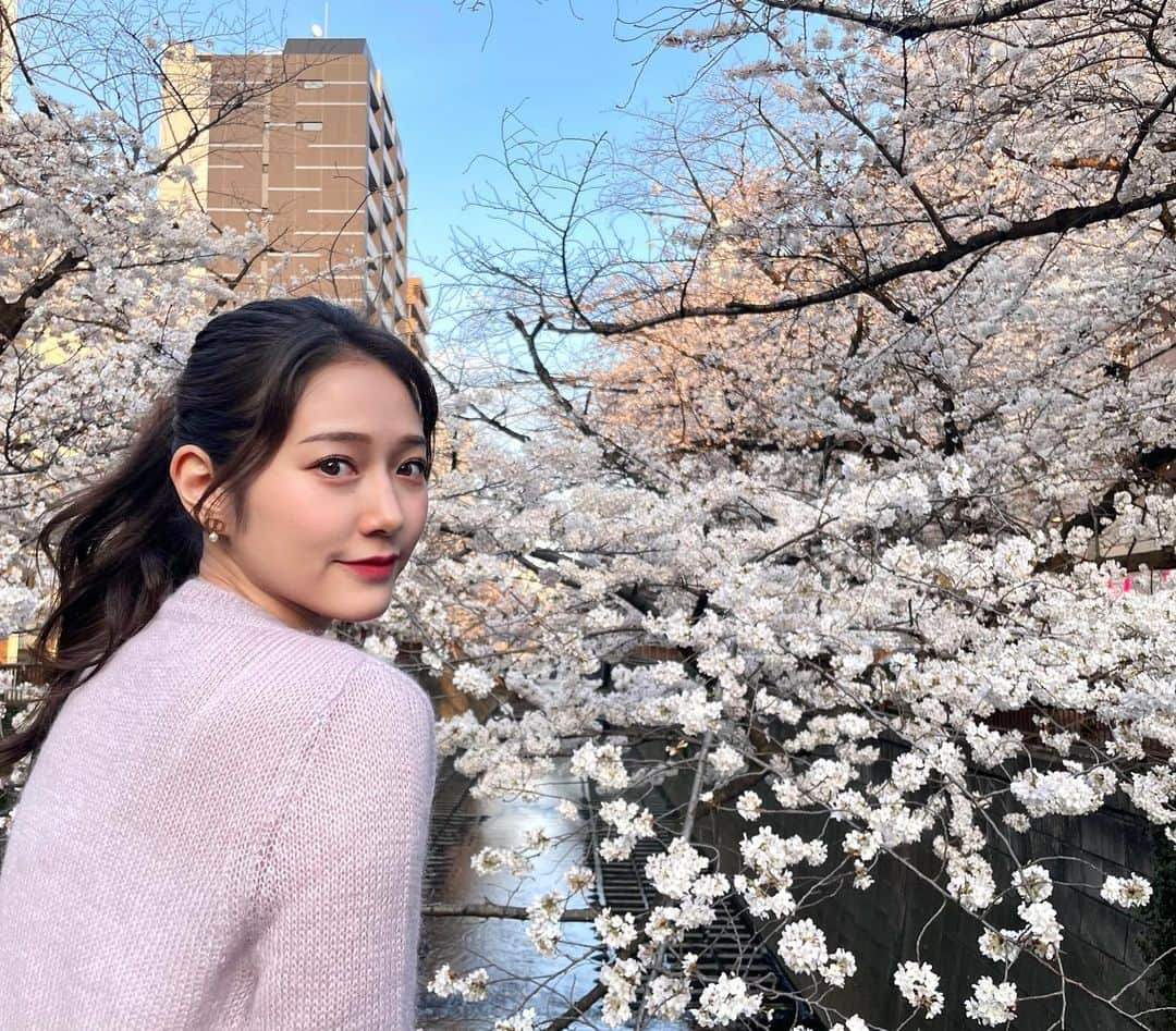 谷本安美のインスタグラム：「* ちょっと前にお母さんと散歩がてら 桜見てきました☺️🌸 ⁡ ⁡ ⁡ ⁡ ⁡ ⁡ #桜 #目黒川 #お花見 #目黒川桜まつり #カーディガン #katie #ファッション #fashionstyle #服 #洋服 #fashionpost #ootd #カメラ  #photo #photoshot #写真 #idol #ハロプロ#つばきファクトリー #谷本安美」