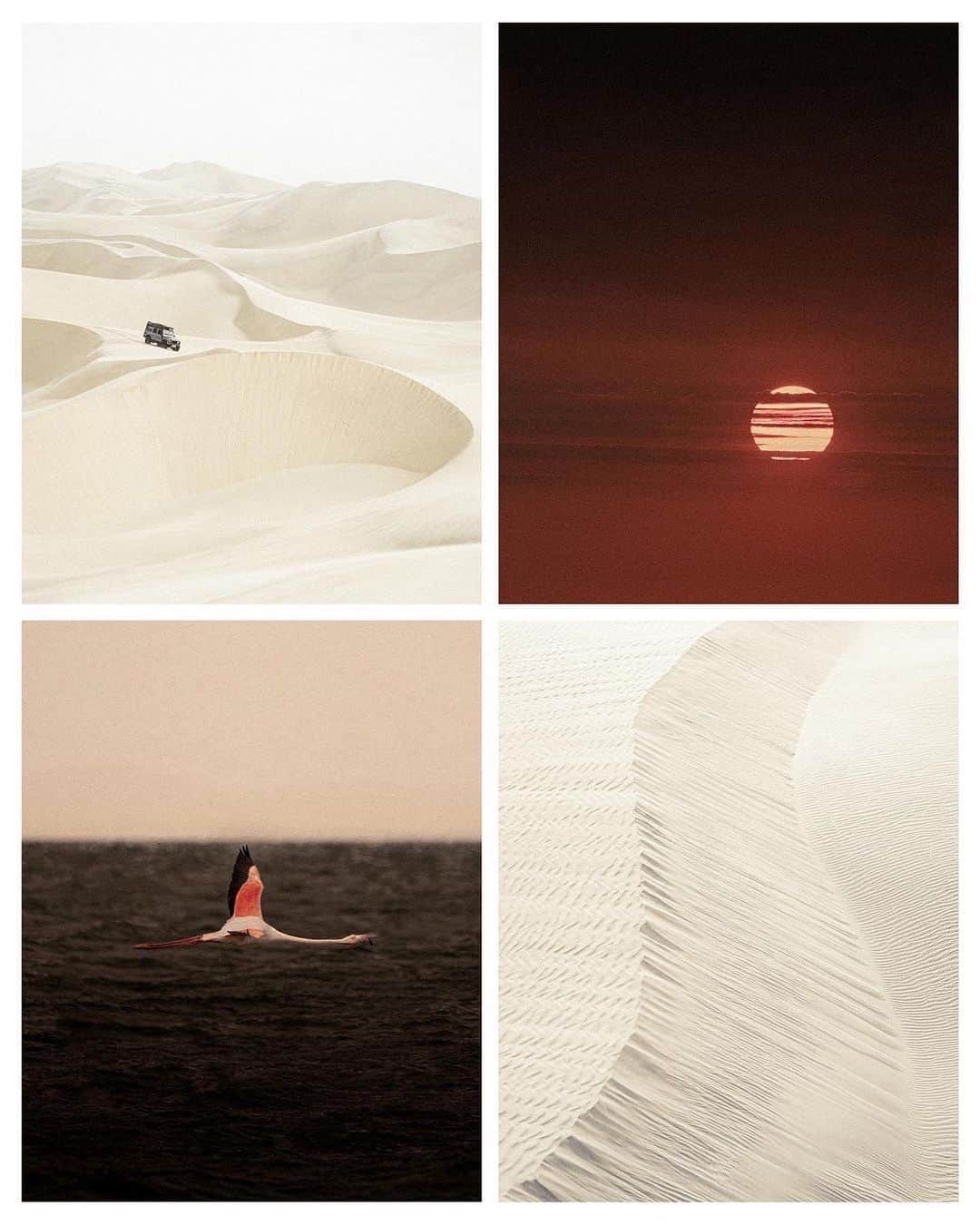 Canon Photographyさんのインスタグラム写真 - (Canon PhotographyInstagram)「Dunes on dunes on dunes 📸   A highlight from our trip in Namibia, and honestly one of the most beautiful landscapes I’ve ever laid eyes on.   One minute totally surrounded by sand, the next cruising alongside the Atlantic, flamingos an arm’s length away! Unforgettable 🦩  Carousel by @jeffreyjkieffer  Curated by @rupertporpora  . . . . . . . #earth #dunes #sanddunes #minimalist #minimalism #composition #earthmood #landscapephotography #softaesthetic」4月13日 20時10分 - cpcollectives