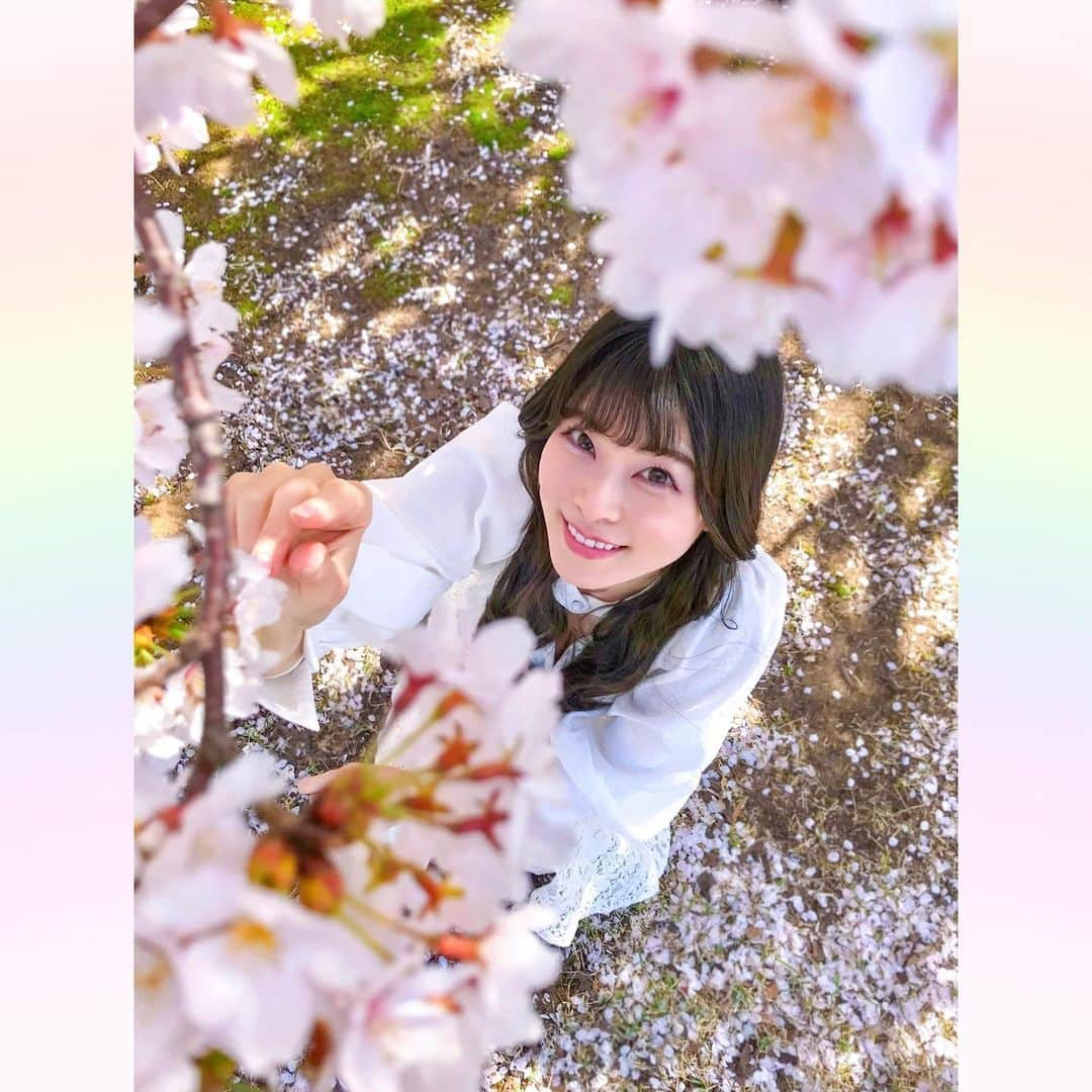 長柄ひろみさんのインスタグラム写真 - (長柄ひろみInstagram)「#sakura 🌸  私が桜を見ている時、桜もまたこちらを見ているのだ👀🌸  桜綺麗🥰🌸🌈  ｡・ﾟ・。❀｡・ﾟ・。❀｡・ﾟ・。❀｡・ﾟ・｡❀。・ﾟ・。  #さくら」4月13日 20時14分 - aoi_asahi