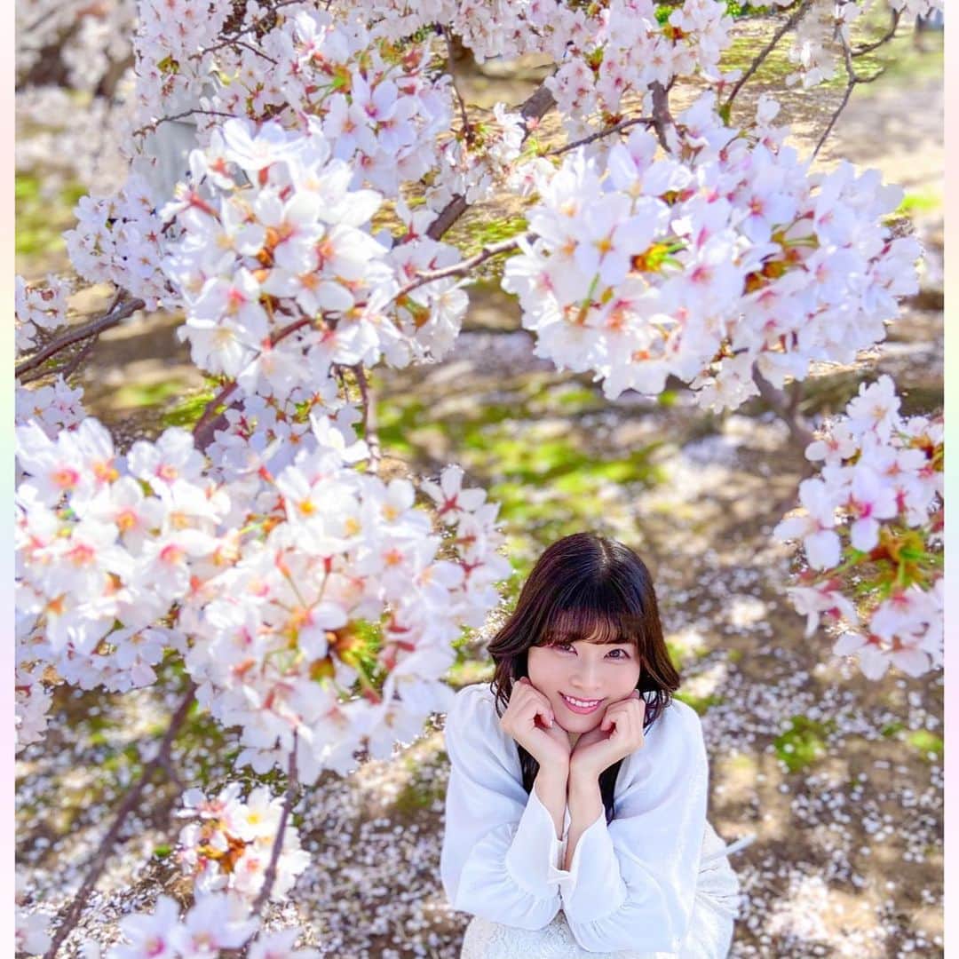 長柄ひろみさんのインスタグラム写真 - (長柄ひろみInstagram)「#sakura 🌸  私が桜を見ている時、桜もまたこちらを見ているのだ👀🌸  桜綺麗🥰🌸🌈  ｡・ﾟ・。❀｡・ﾟ・。❀｡・ﾟ・。❀｡・ﾟ・｡❀。・ﾟ・。  #さくら」4月13日 20時14分 - aoi_asahi