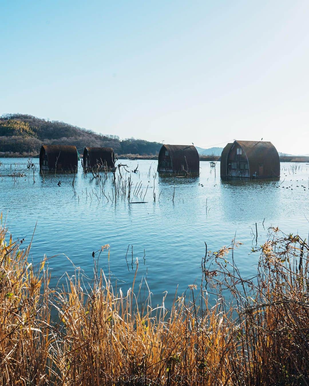 こんちゃんのインスタグラム：「岡山県で見つけた水没したペンション村🏠 一体なぜ、なにが原因でこうなったのか調べても出てこず謎に満ちてた場所。 車や標識も沈んでいて、不思議な空気感の場所だった…🤔 そして大阪は関西サイクルスポーツセンター！ここはやたらと大阪の人たちに勧められて行ってみたらめっちゃ面白かった！笑 もうヘンテコな自転車のオンパレードで100台くらい意味不明な乗り物があってとにかく乗りまくってはしゃぎ回った😂 写真はお気に入りのタコの自転車と超ミニ自転車🚲 やはりB級スポットに胸が熱くなるな…！！ #とったび」