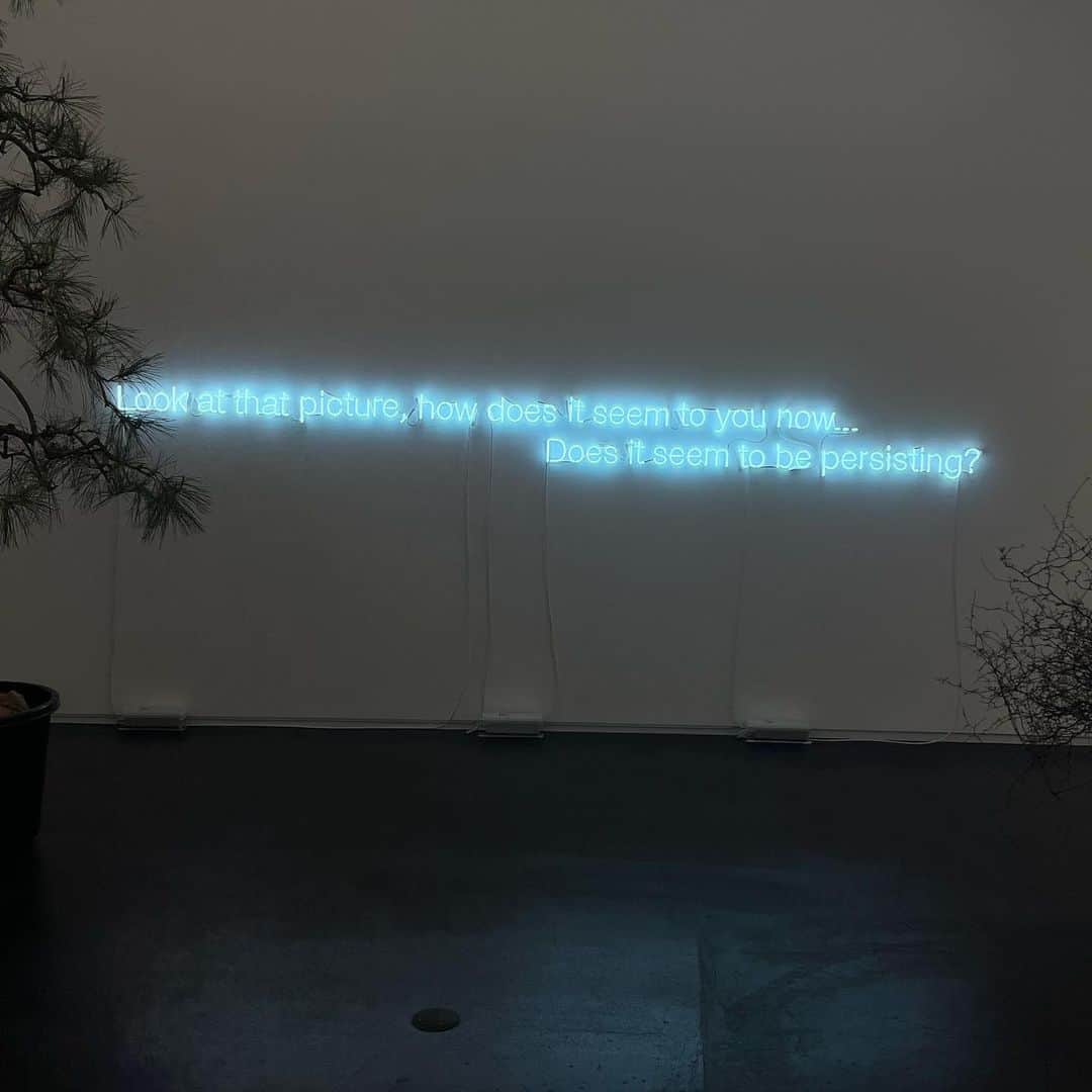 ラブリのインスタグラム：「#ケリスウィンエヴァンス #cerithwynevans   @takaishiigallery」