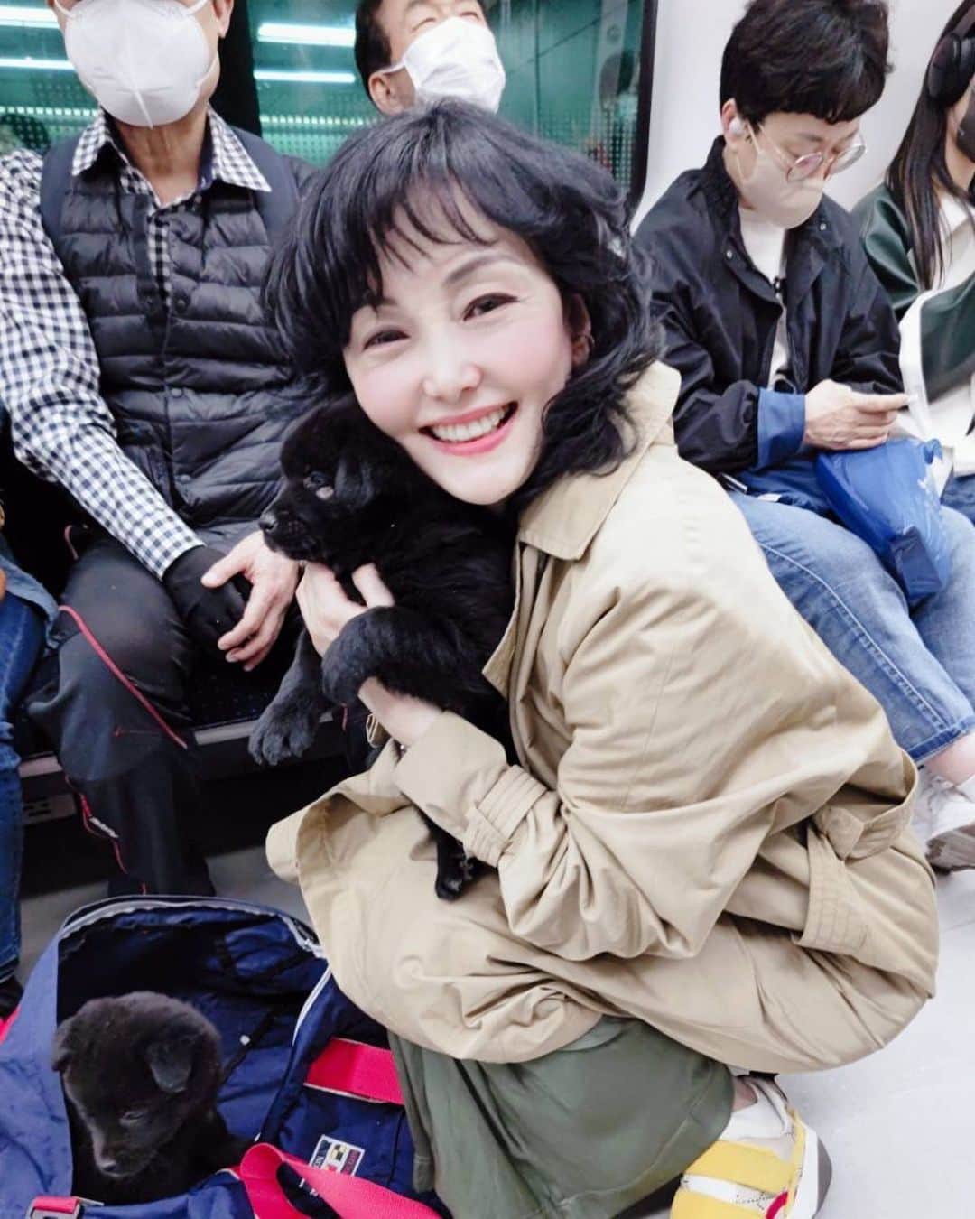 南果歩さんのインスタグラム写真 - (南果歩Instagram)「#珍道犬 ソウルの地下鉄で‼️なんと‼️韓国の天然記念物にもなっている珍道犬の赤ちゃんに遭遇🇰🇷🇰🇷🇰🇷 珍道犬は成犬になると飼い主以外には絶対触らせないという、忠犬です。 しかし虎とも戦うほどの大変な犬種ですが、飼い主さんの許可を得て、だっこさせてもらいました😊😊😊 とても穏やかで良い子たち❤️ どんなお家で育っていくのかな🌈 とても貴重な体験でした‼️  감사합니다🇰🇷🇰🇷🇰🇷  #ソウル #地下鉄 #天然記念物 #南果歩 #미나미가호  #kahominami #japaneseactor」4月14日 2時09分 - kaho_minami