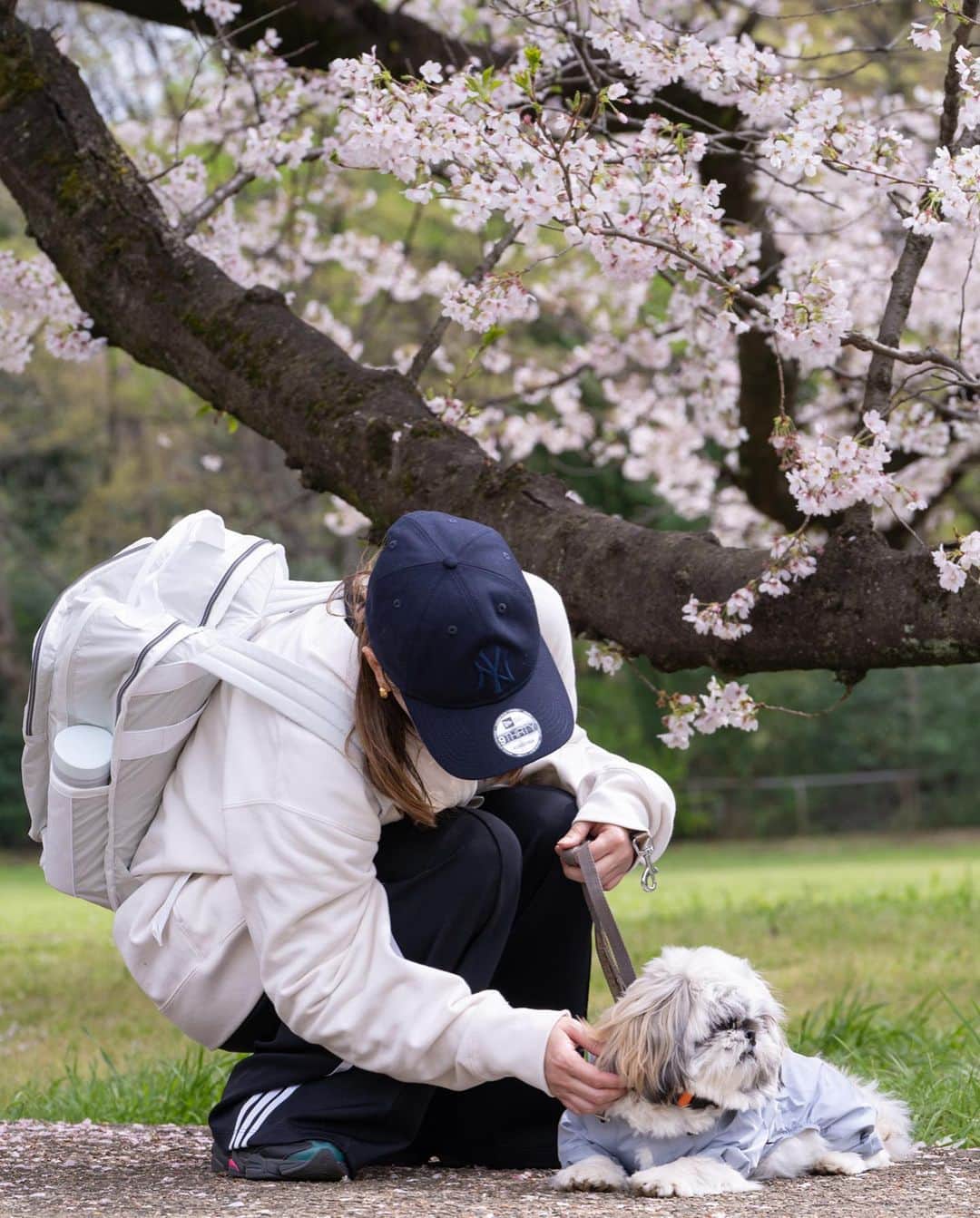 nanaさんのインスタグラム写真 - (nanaInstagram)「ㅤ 来年も桜見に行こうね👨🏻🐶👩🏻 たくさんお出かけしようね ㅤ ㅤ 大好き🥰 ㅤ ㅤㅤ ㅤ ㅤ ㅤ #桜 #桜スポット #桜と犬 #ぽた丸 #ミックス犬 #ミックス犬同好会 #シーズー #シーズーパピー #ペキシーズー #シーズーミックス #子犬 #犬のいる暮らし #犬スタグラム #犬のいる生活 #いぬすたぐらむ #shihtzu #pekinese #pekishihtzu #shihtzupuppy #shihtzulovers #shihtzugram #ふわもこ部 #instadog #puppydog #shihpeki #shihtzuplus #いぬすた掲載希望 #シーペキ #桜 #桜スポット #エブリドッグ #sonya7iii」4月13日 21時00分 - nanapanda517
