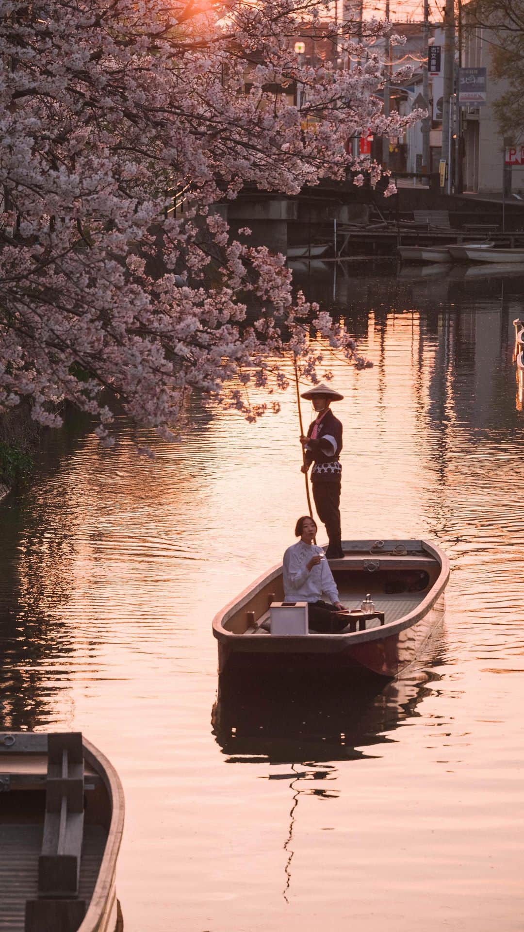 柳川藩主立花邸御花 | Yanagawa Ohanaのインスタグラム：「夕暮れに、お舟の上から愛でる桜を🌸  あっというまだからこそ、より一層愛おしくなりますね。  柳川はお堀に張り巡らされているので夕暮れにお舟に乗ると、夕陽が水辺にきらきらと輝く様子を楽しめます。  そんな景色に加えて、桜を楽しめる季節はより一層美しく、人の心を優しい気持ちにしてくれます。  来年は宿泊のお客様向けに夕暮れの桜をお舟の上から愛でていただける特別なご宿泊プランをご用意したいと思います✨⁡  ⁡ #福岡ホテル#柳川ホテル #fukuokahotel#yanagawahotel #柳川藩主立花邸御花#御花 #柳川旅行#春#桜#cherryblossom  #福岡旅行#福岡観光#柳川観光 #文化財ホテル#文化財旅館 #国指定名勝#お舟#クルーズ #福岡旅館#九州ホテル #クラシックホテル#桜ライトアップ #川下り #福岡桜ライトアップ #桜まつり#三柱神社  #sunset#夕暮れの桜 #福岡の桜#柳川の桜」