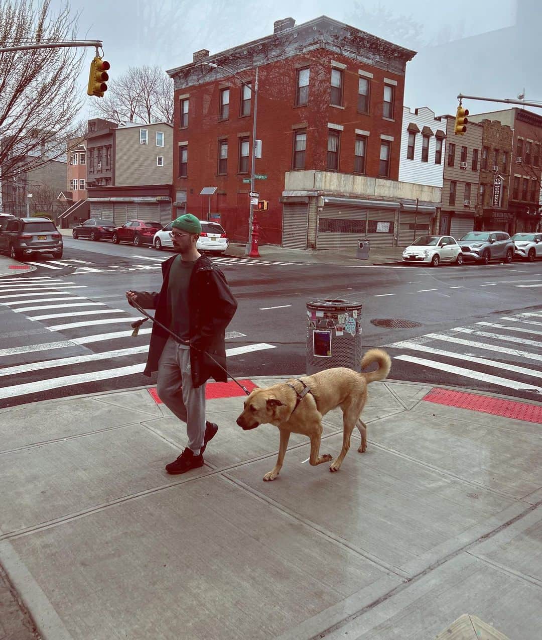 長尾悦美さんのインスタグラム写真 - (長尾悦美Instagram)「🇺🇸でも #dogstagram 🐶  たくさんありすぎてUPしきれない。笑  #NY #LA #dogs #dogsofinstagram」4月13日 20時58分 - yoshiminagao
