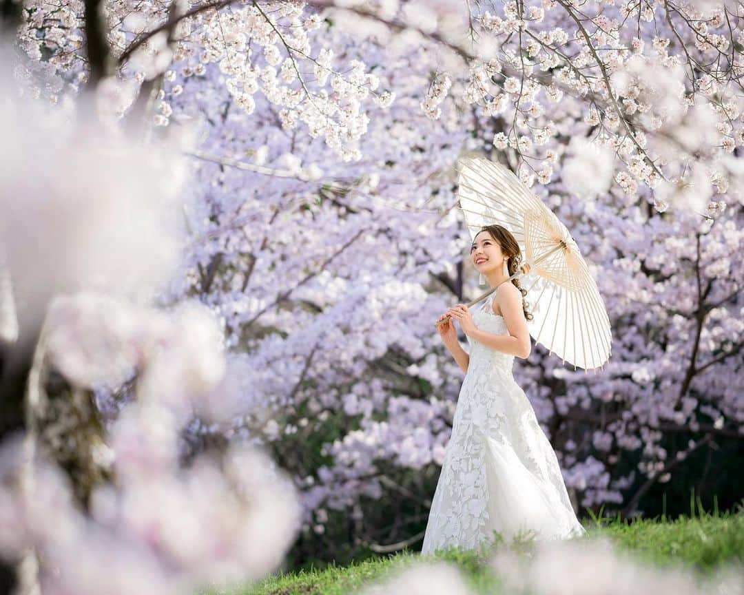 まおまおさんのインスタグラム写真 - (まおまおInstagram)「ꔛ 𝕨𝕖𝕕𝕕𝕚𝕟𝕘 𝕡𝕙𝕠𝕥𝕠 ໒꒱ ꔛ  桜シーズン終わっちゃったけど...🤍🫧  1〜2枚目は五島さんカメラ📷  3枚目は同じ場所で撮ったスマホカメラ🤳  五島さんのカメラワークは ほんと手品みたいで感動しまくり🥹💓  👗 @miciestorica 📸 @s.goshima.marugo  ꔛ  🏷 #weddingdress #weddingphotography #ウェディングドレス #ウェディングヘア #ウェディングフォト #ウェディングレポ #花嫁 #花嫁ヘア #京都ウェディング #京都ウェディングフォト #ミーチェストーリカ #miciestorica #桜ウェディング  ꔛ」4月13日 21時05分 - _maomao2_