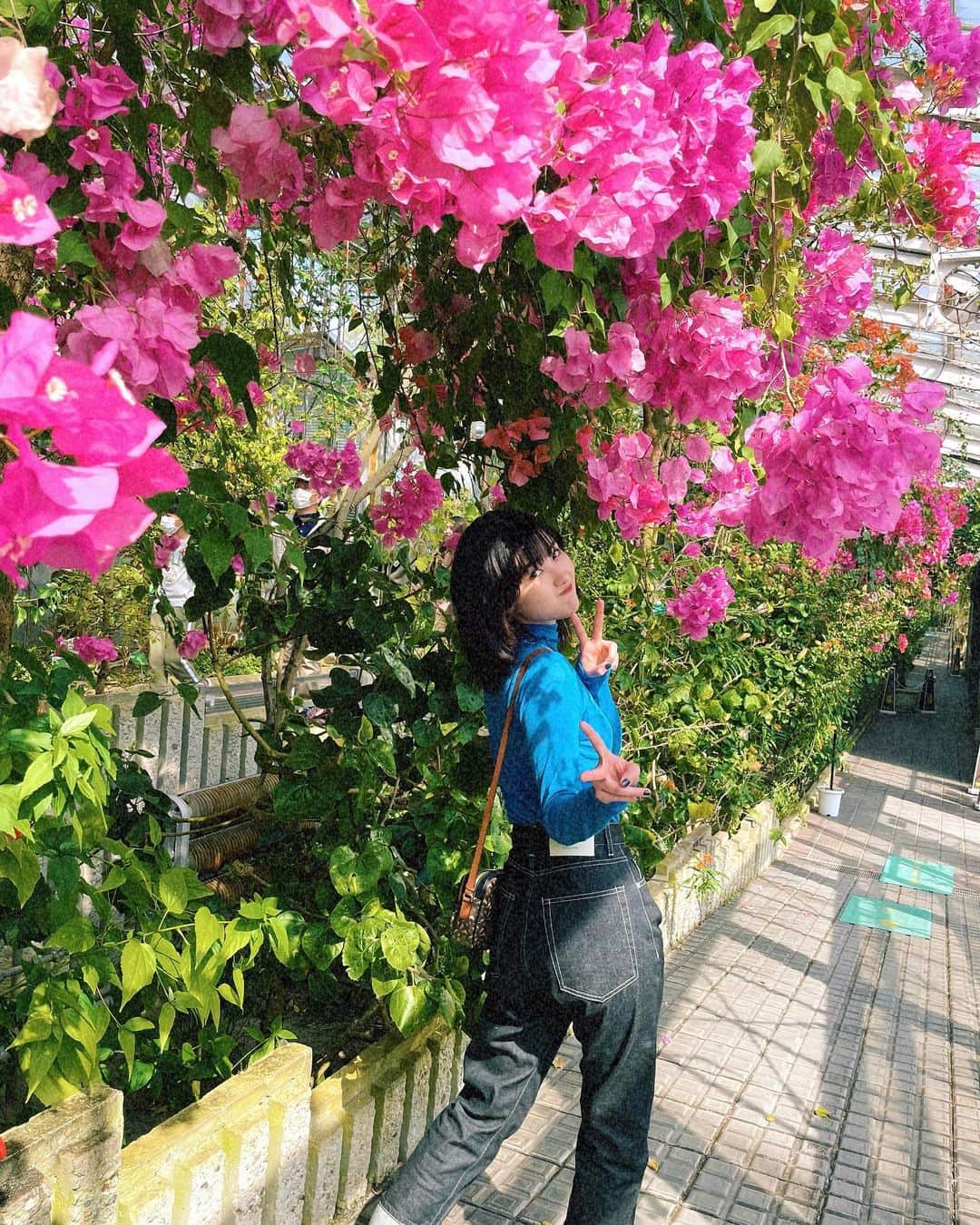 井頭愛海さんのインスタグラム写真 - (井頭愛海Instagram)「. 🌿🍃🪴🌳🌵 ︎︎ほぼ✌🏻‎←の写真〜笑笑」4月13日 21時41分 - manamiigashira_official