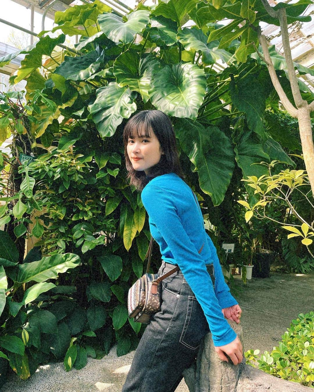 井頭愛海のインスタグラム：「. 🌿🍃🪴🌳🌵 ︎︎ほぼ✌🏻‎←の写真〜笑笑」