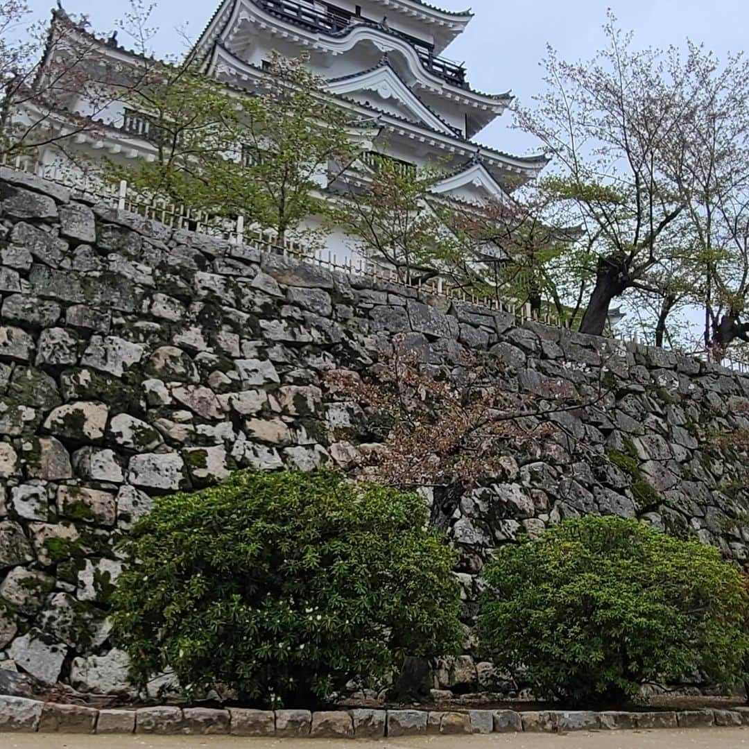 ようこさんのインスタグラム写真 - (ようこInstagram)「福山城見てきました🏯 なかなかお城までたどり着けなくてひーひーしました🤣  そしてそして、、、 チケット買うはずがメダルを買っているというミス🤣 やらかしたー❗  スタバ飲んで広島空港へ向かいます🎵  #広島県#広島#福山駅#福山城#スタバ」4月13日 22時08分 - 0606yoko