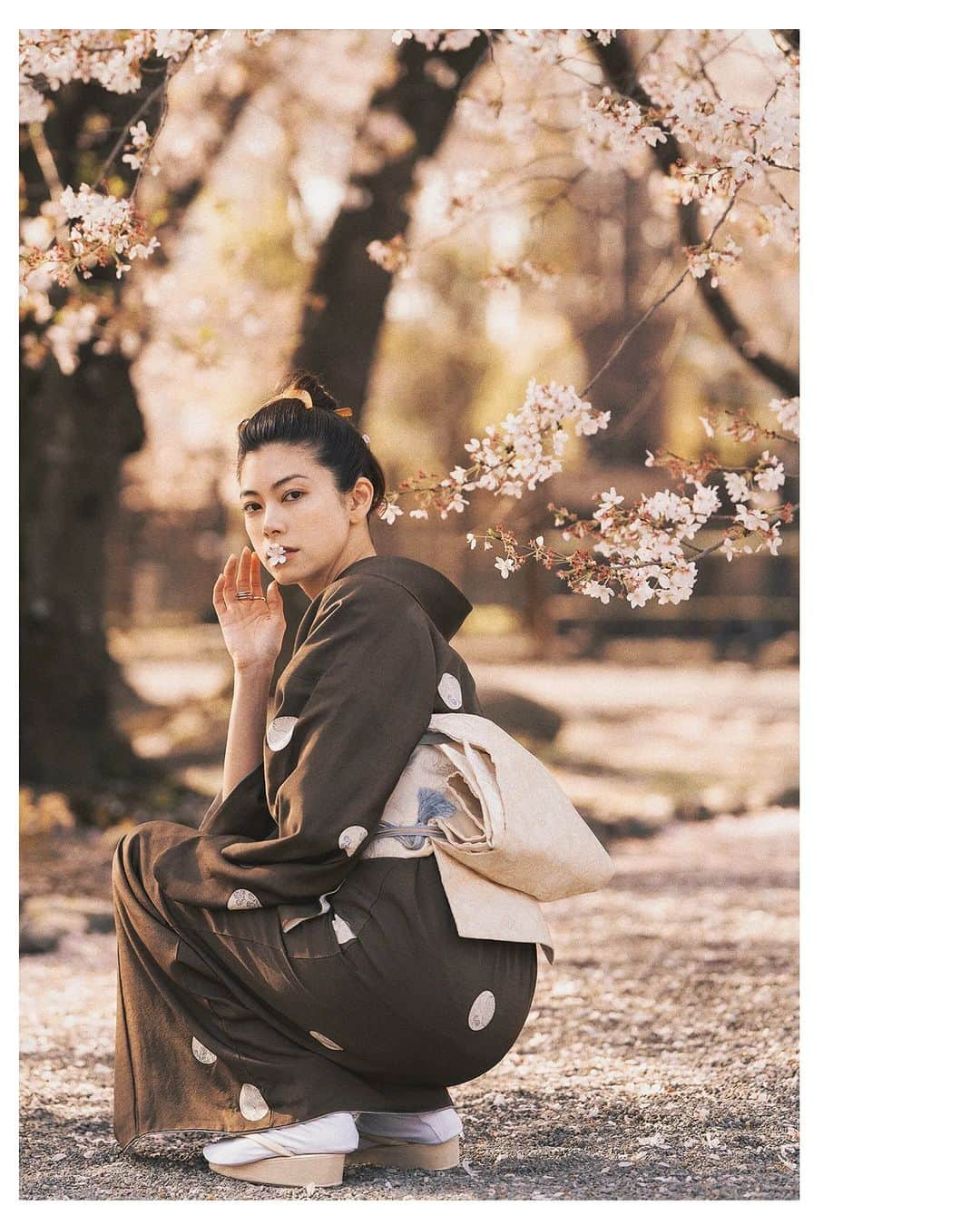 Berlin Tokyoさんのインスタグラム写真 - (Berlin TokyoInstagram)「Stroll through the ancient capital of Kyoto with cherry blossoms in full bloom with @hikari 🌸 . . kimono @megumitakahashi76 Obi @shokurakuasano @asaasaaasaa Location @yoshie.816 @toji_official . . #hellofrom Kyoto #japan」4月13日 22時37分 - tokio_kid