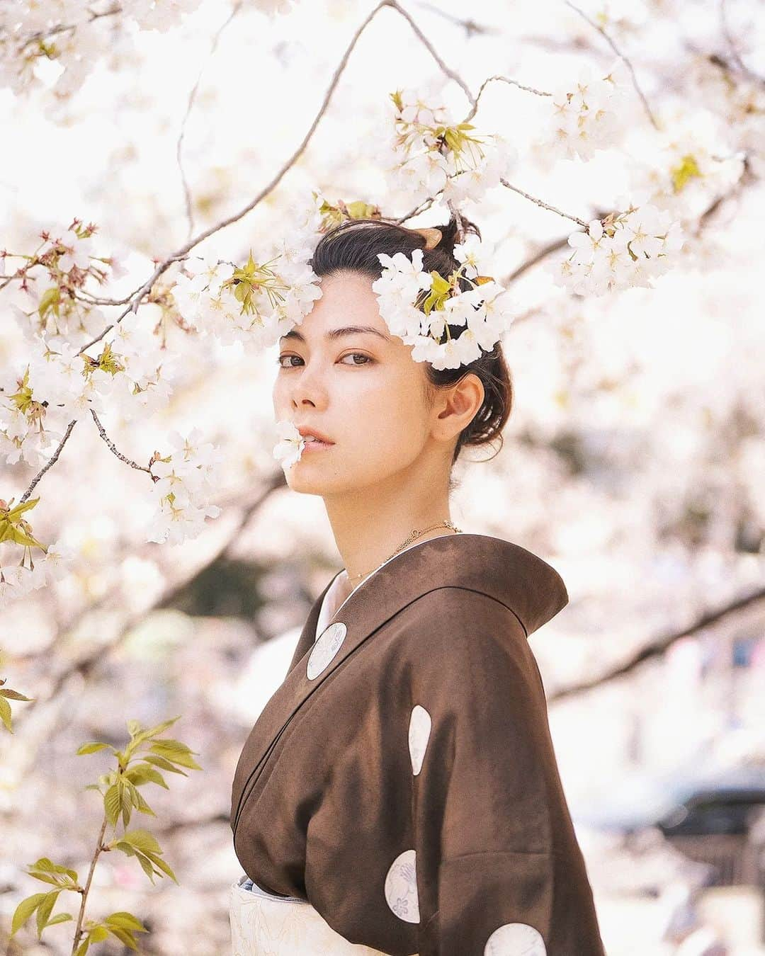 Berlin Tokyoのインスタグラム：「Stroll through the ancient capital of Kyoto with cherry blossoms in full bloom with @hikari 🌸 . . kimono @megumitakahashi76 Obi @shokurakuasano @asaasaaasaa Location @yoshie.816 @toji_official . . #hellofrom Kyoto #japan」