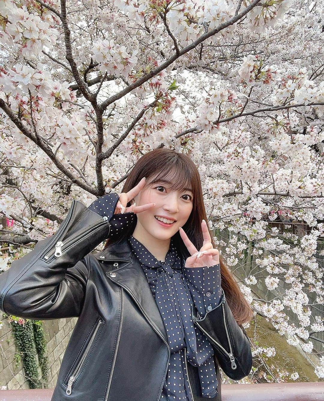 小泉里奈のインスタグラム：「今年も桜を見に目黒川へ🌸♡  #目黒川沿い桜並木 #目黒川桜祭り #目黒川の桜 #中目黒散歩 #中目黒 #桜 #お花見 #はなまっぷ #桜のある風景 #東京カメラ部 #ファインダー越しの私の世界 #ポートレート #櫻花季 #櫻花 #cherryblossom #sakura #flower_pinks #flowerstagram #japan_of_insta #japaneseculture #japan_daytime_view #lovers_nippon #벚꽃 #벚꽃축제」