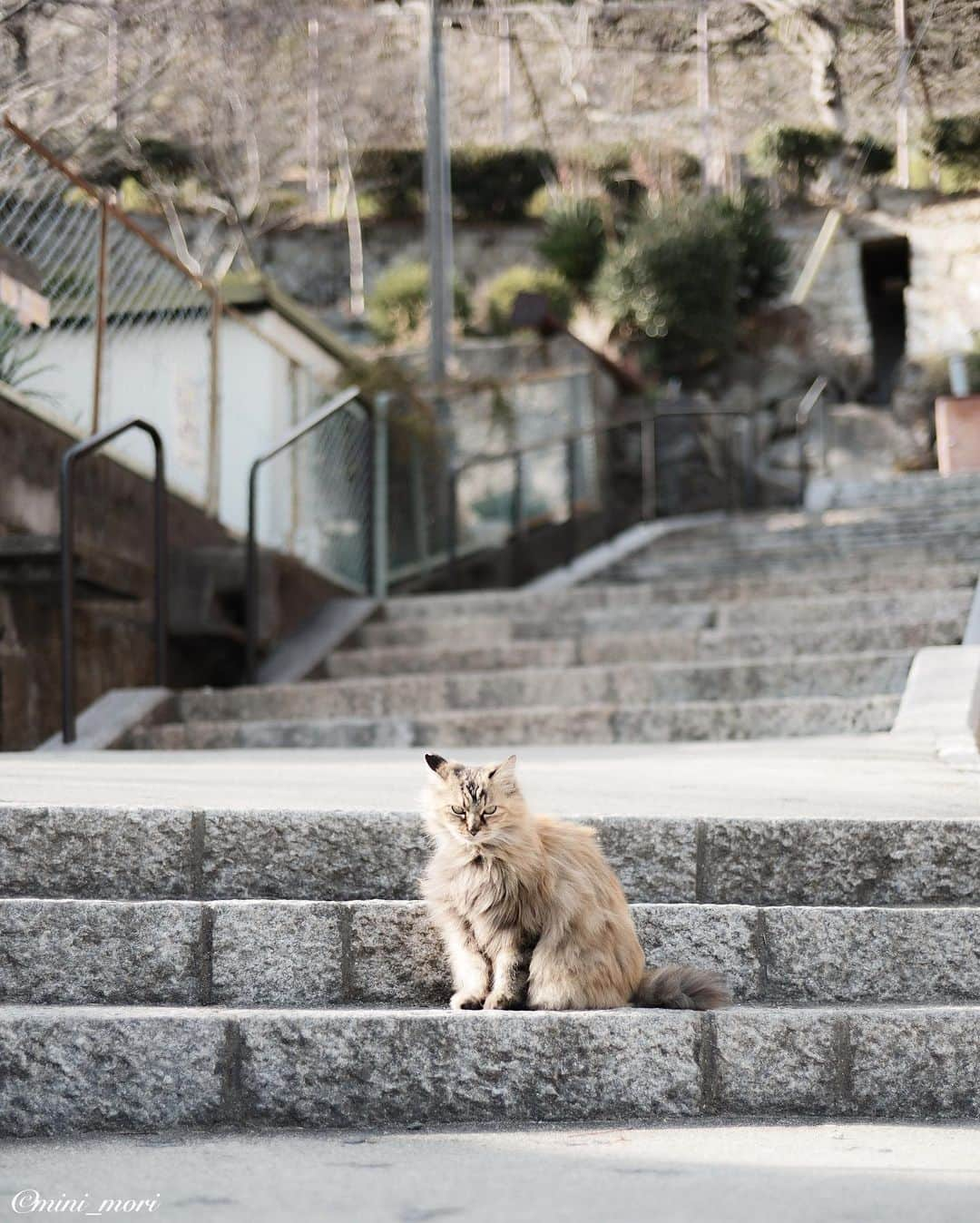 ☀もり、のインスタグラム