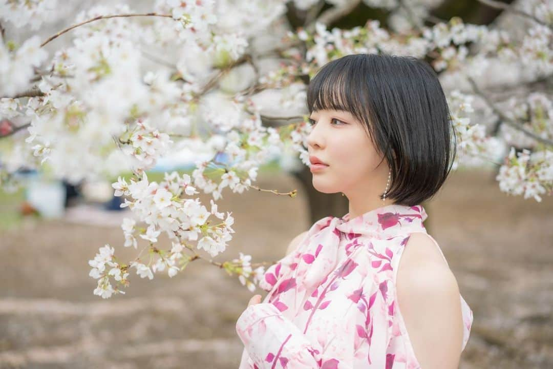 三宮つばきさんのインスタグラム写真 - (三宮つばきInstagram)「sakura  #お花見 #桜 #ポートレート #東京  #お花見コーデ #お花見スポット #お花見デート #お花見🌸  #桜 #さくら #cherryblossom #cherryblossoms #cherry」4月13日 23時11分 - tsubaki_s_cmore