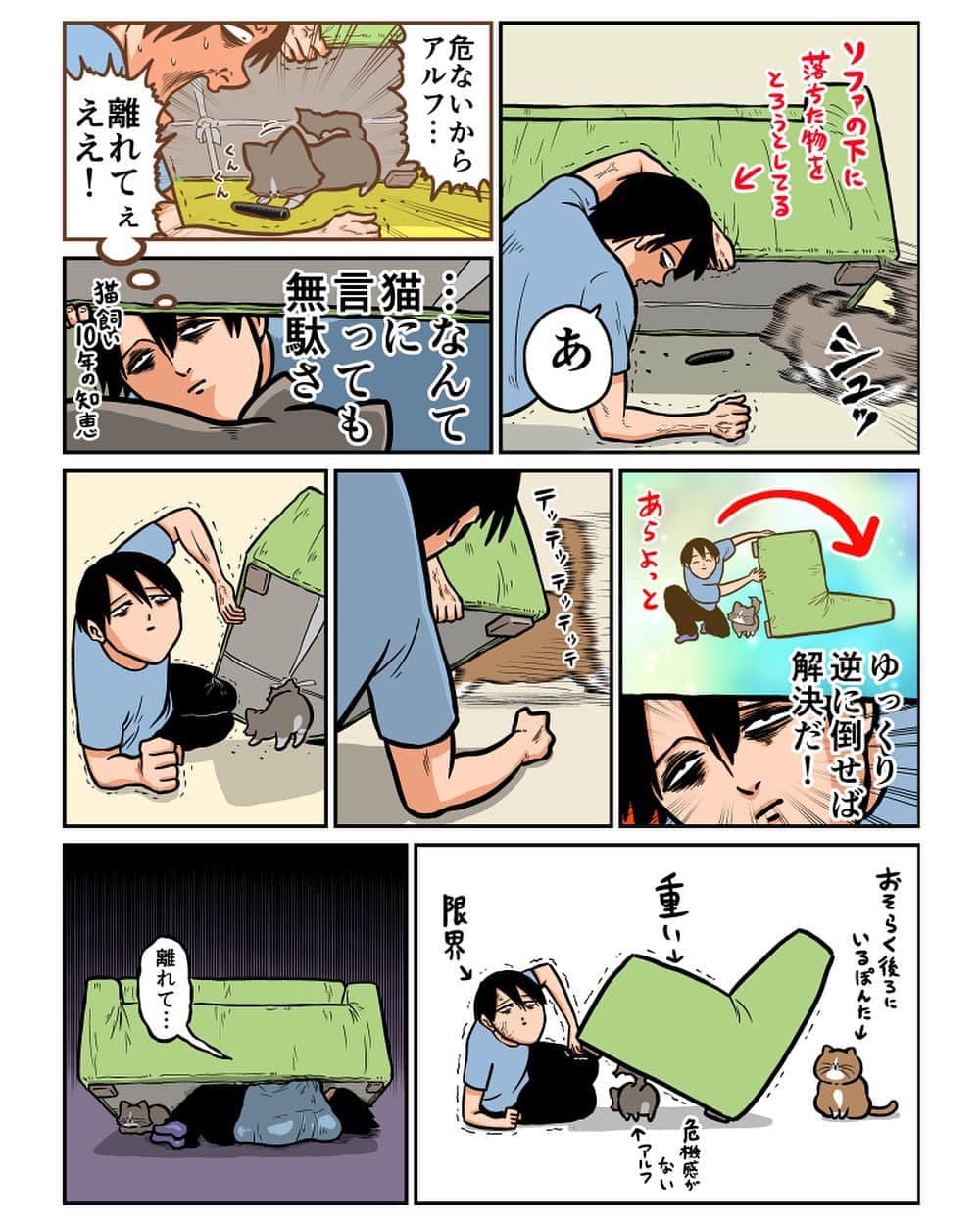 鴻池剛のインスタグラム：「#使わなくなったソファの日記2 #猫漫画」