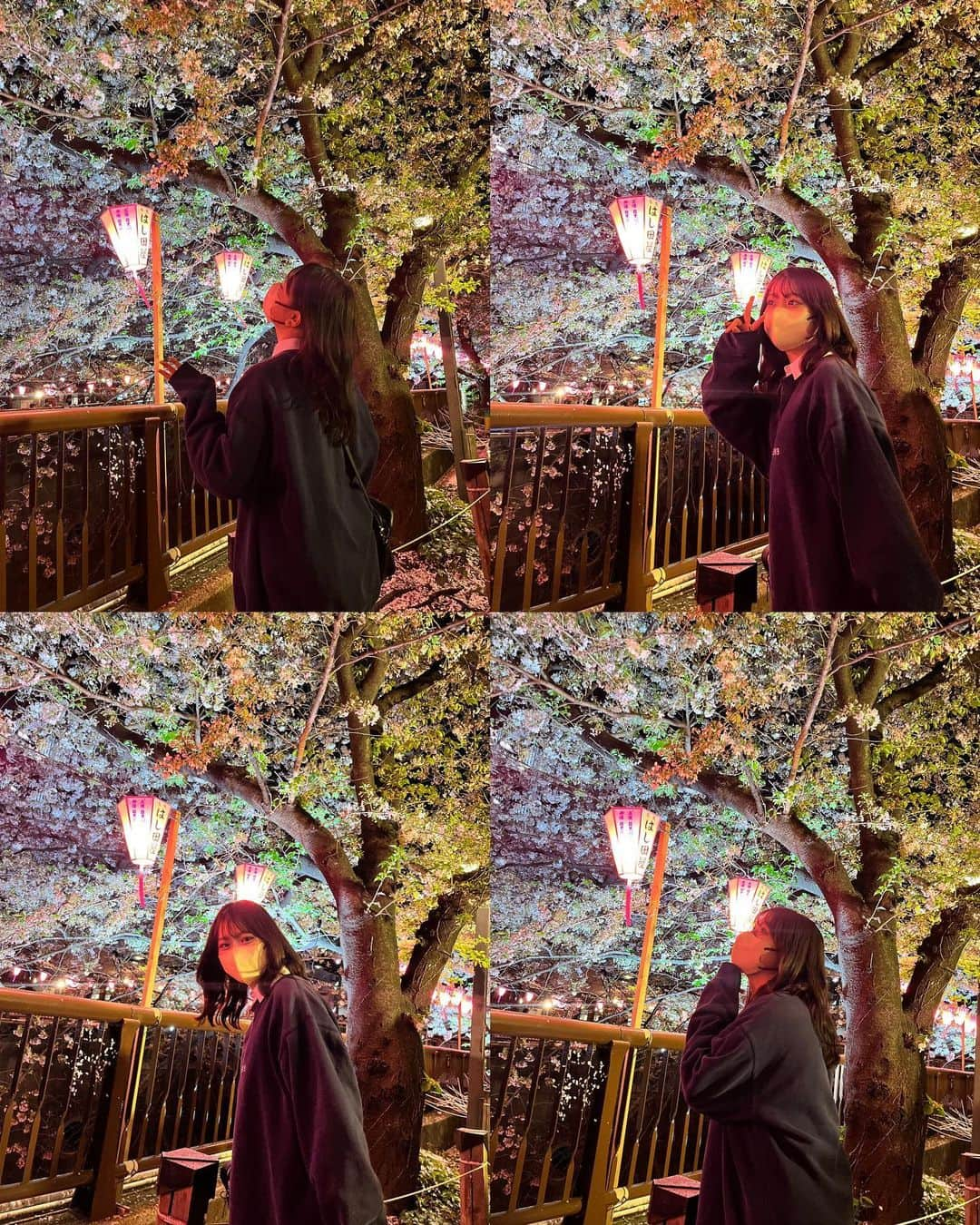 寺島季咲のインスタグラム：「春休みは玲亜と夜桜見に行って来た🌜  目黒川行った後はぷらぷらお喋りしながら2人で散歩してたよ🏃🏽‍♀️🌸  #目黒川桜まつり」