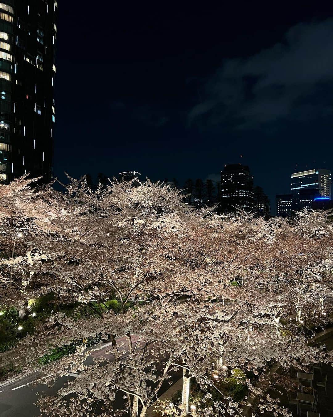 舞雛かのんさんのインスタグラム写真 - (舞雛かのんInstagram)「さーくらっ🌸  今年の桜も綺麗だったなぁ...♡って 思い出したから投稿🤭」4月13日 23時57分 - mizho_601