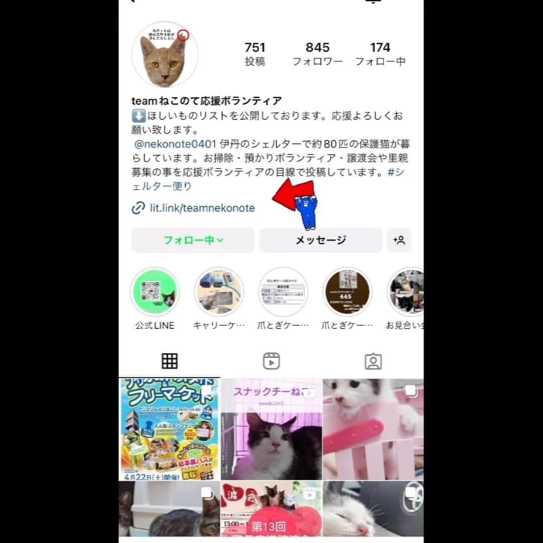 八、おこめのインスタグラム：「『#teamねこのて 』では @nekonote0401 @nekonotecat インスタ以外にも公式ブログや公式LINEにて 譲渡会の最新情報や大切なご報告、日々のシェルターの様子などを随時発信しています🐈 各アカウントのプロフィールからリンクできますので、たくさんの方に見て頂けたら嬉しいです。 Amazonの欲しいものリストも掲載いしていますので 支援物資での応援・ご協力もよろしくお願い致します🐾 #teamねこのて #シェルター便り  #里親募集 #保護猫 #譲渡会 #猫のシェルター #伊丹市 #お掃除ボランティア #預かりボランティア #ねこ部 #cat #ねこ #猫 #ネコ」