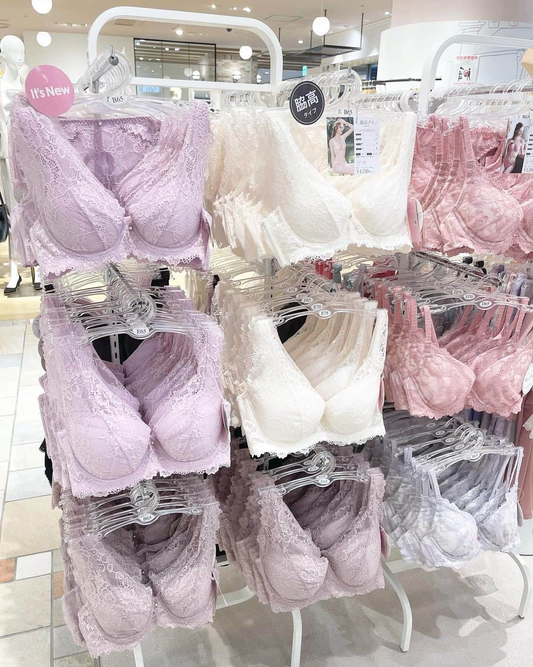 アンテシュクレのグルメインスタ