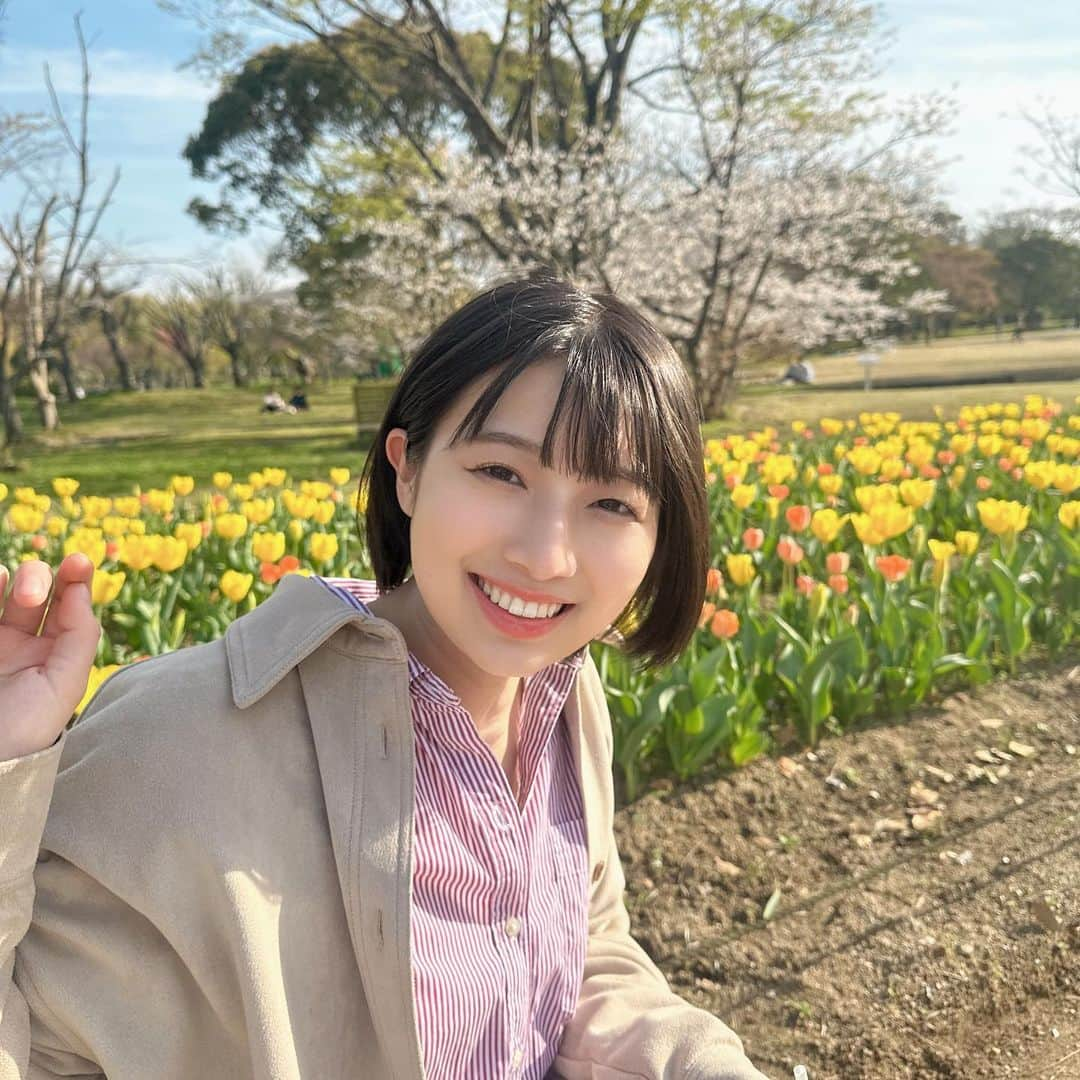 安部若菜さんのインスタグラム写真 - (安部若菜Instagram)「お花見🌷  チューリップはもちろん、ネモフィラもとっても綺麗でした🩵  ネモフィラというお花、青くて小さいのに可愛いところ 最近知名度が上がり出してチヤホヤされているところが大好きです☺️  私もそんな1人です🩵  皆さんはネモフィラって知ってましたか？  #チューリップ #ネモフィラ#春 #お花#お花見 #万博記念公園」4月9日 19時54分 - _wakapon_