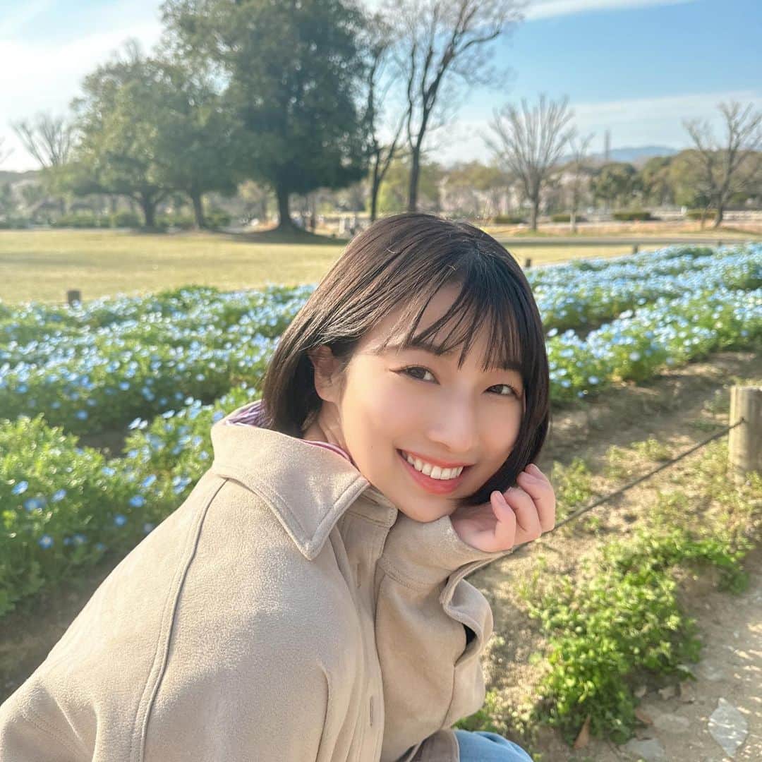 安部若菜のインスタグラム：「お花見🌷  チューリップはもちろん、ネモフィラもとっても綺麗でした🩵  ネモフィラというお花、青くて小さいのに可愛いところ 最近知名度が上がり出してチヤホヤされているところが大好きです☺️  私もそんな1人です🩵  皆さんはネモフィラって知ってましたか？  #チューリップ #ネモフィラ#春 #お花#お花見 #万博記念公園」