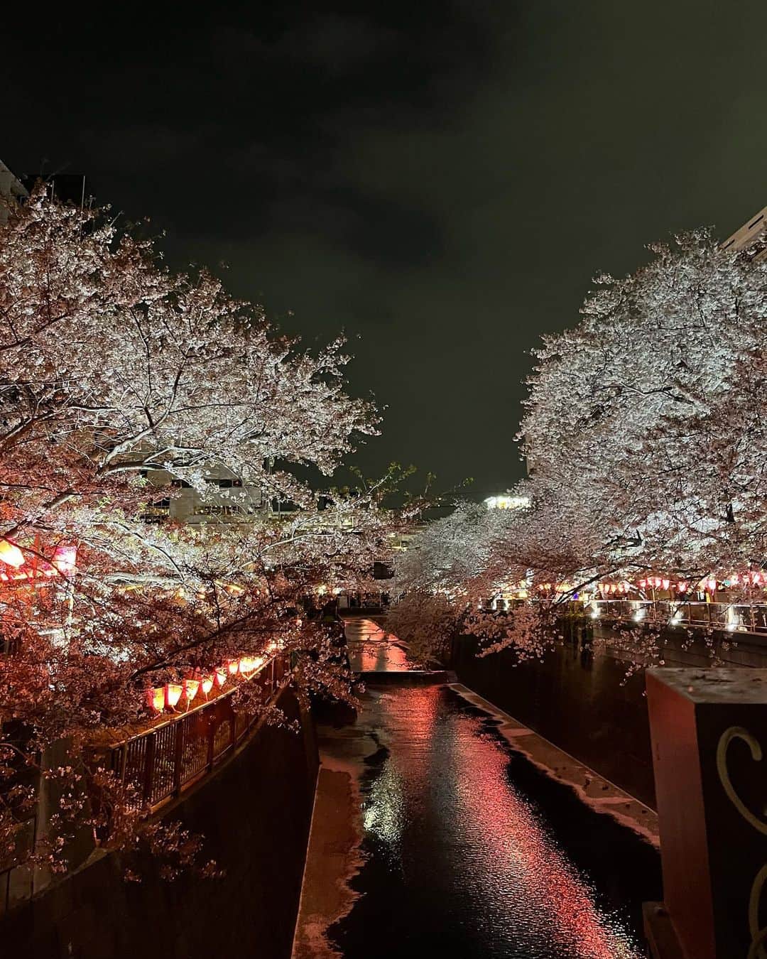 小川沙樹さんのインスタグラム写真 - (小川沙樹Instagram)「先週は超花見weekでした🌸 去年はバタバタしていて行けなかったので今年は行きたい所全部行きました！ 念願の目黒川の桜と幸手権現堂。 散り始めた桜が川に浮かんでいて、それはそれで風情がありました🥰 来年はどこの花見に行こうかな…」4月9日 20時00分 - ogawa__saki