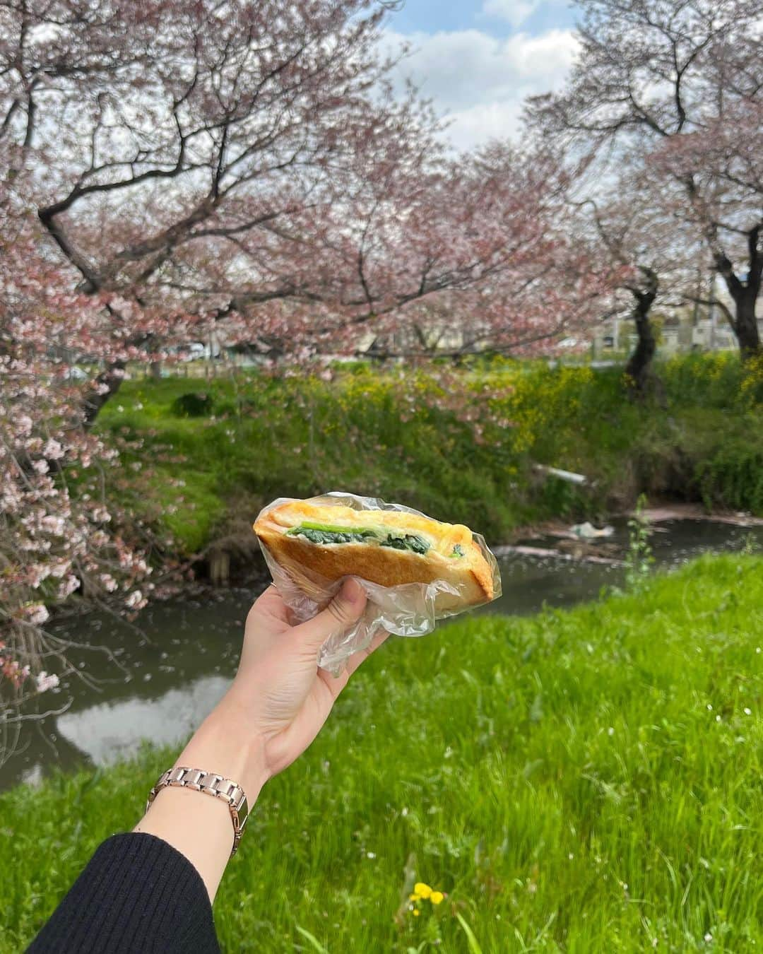 小川沙樹さんのインスタグラム写真 - (小川沙樹Instagram)「先週は超花見weekでした🌸 去年はバタバタしていて行けなかったので今年は行きたい所全部行きました！ 念願の目黒川の桜と幸手権現堂。 散り始めた桜が川に浮かんでいて、それはそれで風情がありました🥰 来年はどこの花見に行こうかな…」4月9日 20時00分 - ogawa__saki