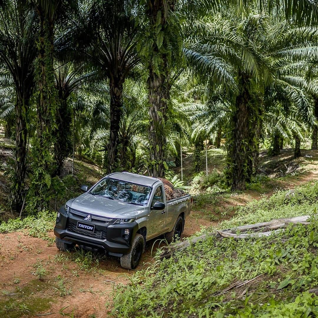 Mitsubishi Motors Thailandのインスタグラム：「มั่นใจทุกงาน ลุยทุกสวน 🌴🌳 ยึดเกาะทุกเส้นทาง ด้วยระบบขับเคลื่อน 4 ล้อ Easy Select 4WD  #Triton #TritonLover #MitsubishiTriton #MitsubishiMotorsThailand⁠ #MitsubishiMotors #DriveYourAmbition #MitsubishiTH #MitsubishiTritonTH #MitsubishiTriton4x4 #OffRoad #ไทรทัน #รถกระบะ #กระบะสายลุย #เกษตรกร #มิตซูบิชิมอเตอร์ส  #photooftheday #DriveYourAmbition」